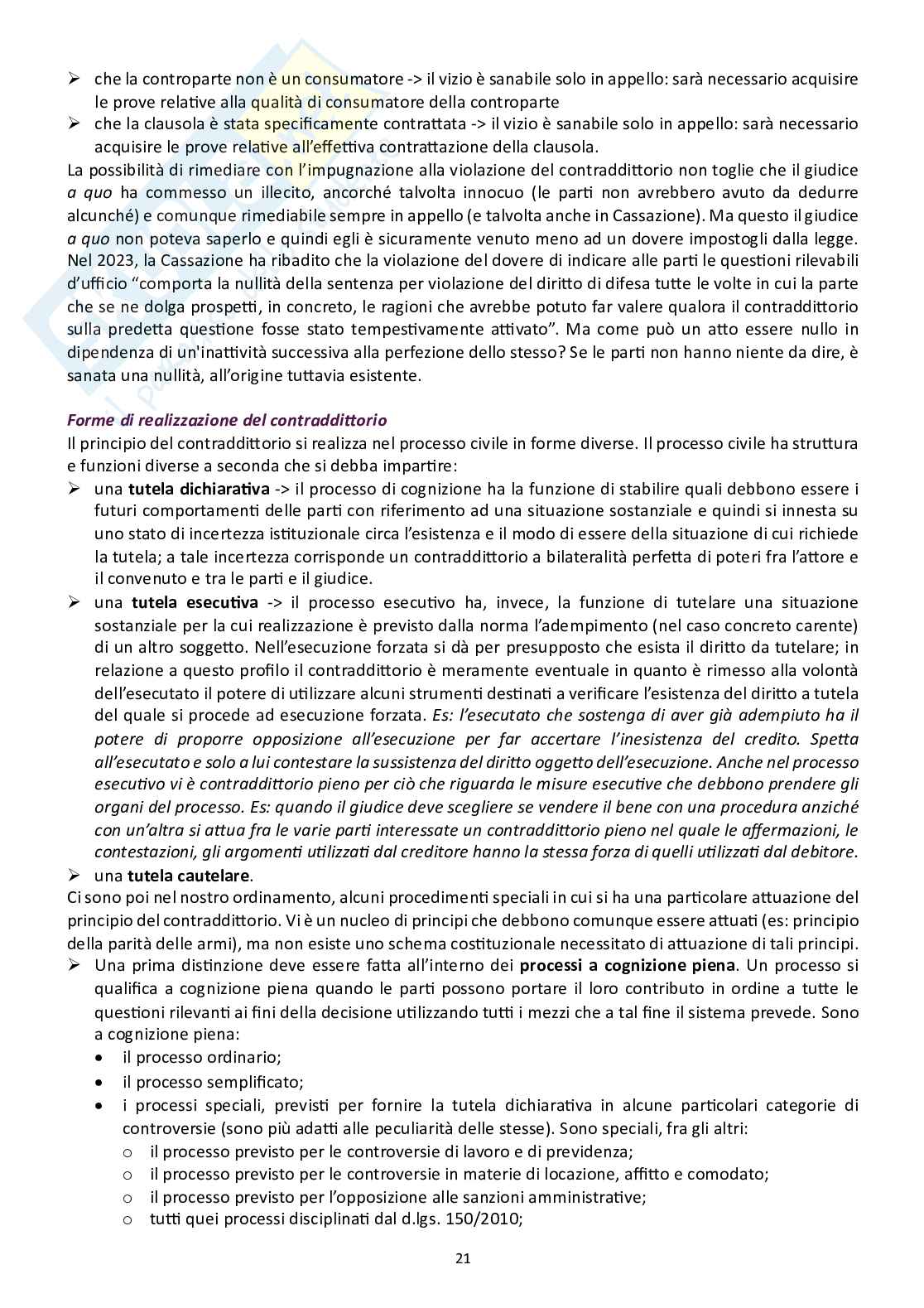 Diritto processuale civile Pag. 21