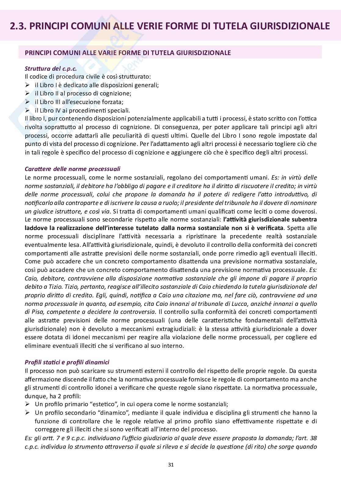Diritto processuale civile Pag. 31