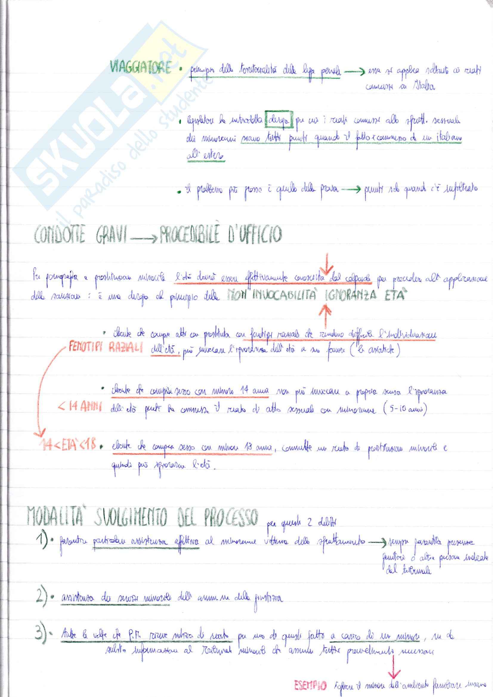 Lezioni, Diritto Penale Speciale Pag. 11