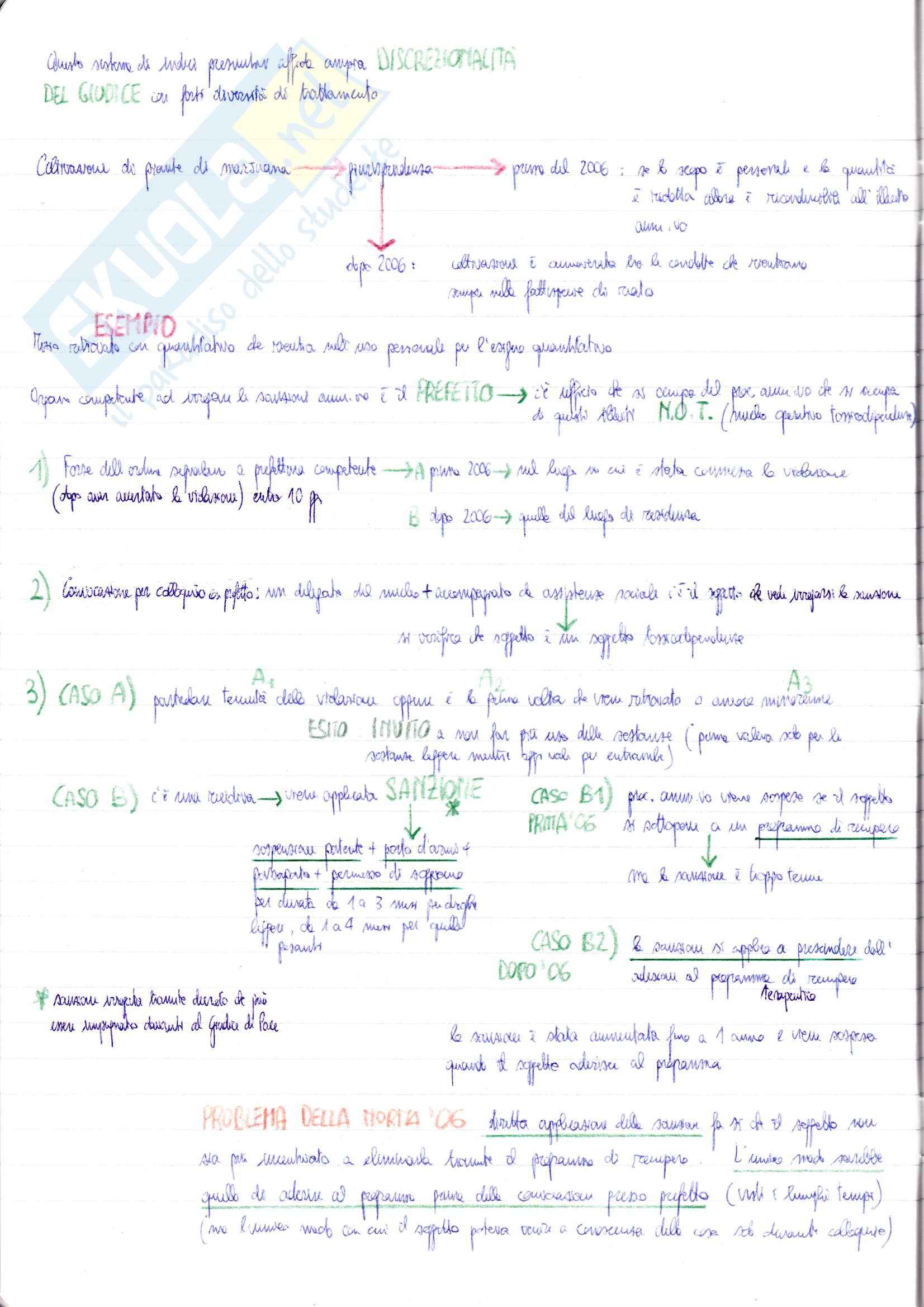 Lezioni, Diritto Penale Speciale Pag. 26