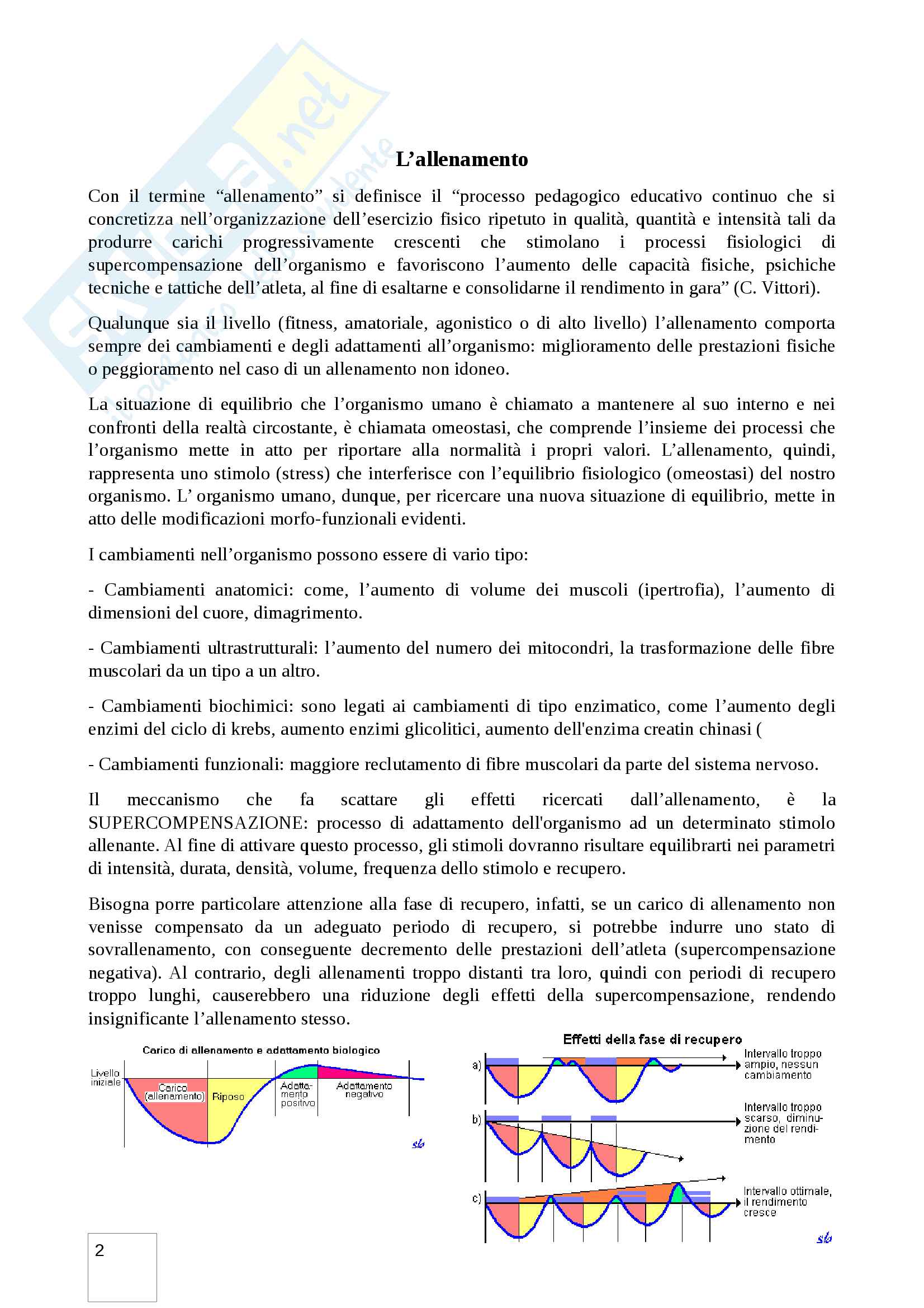 Preparazione atletica e pesistica: allenamento e supercompensazione Pag. 2
