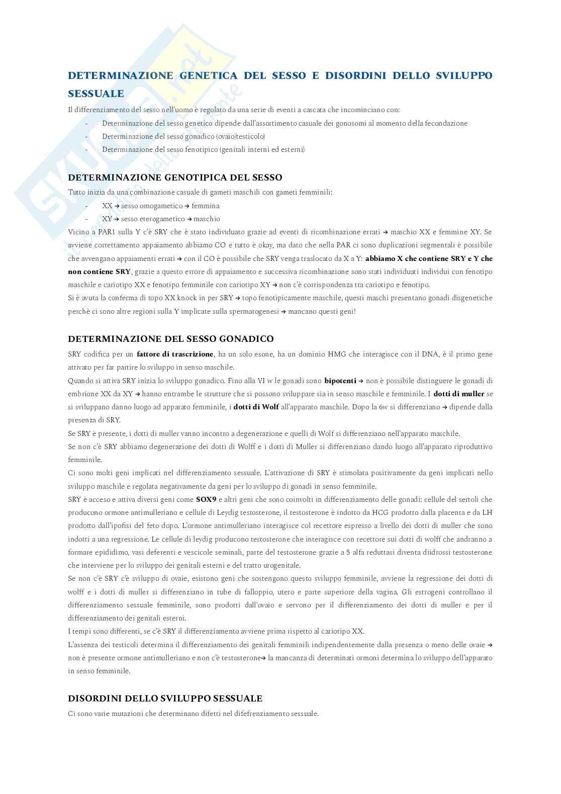 Appunti completi di genetica molecolare umana Pag. 91