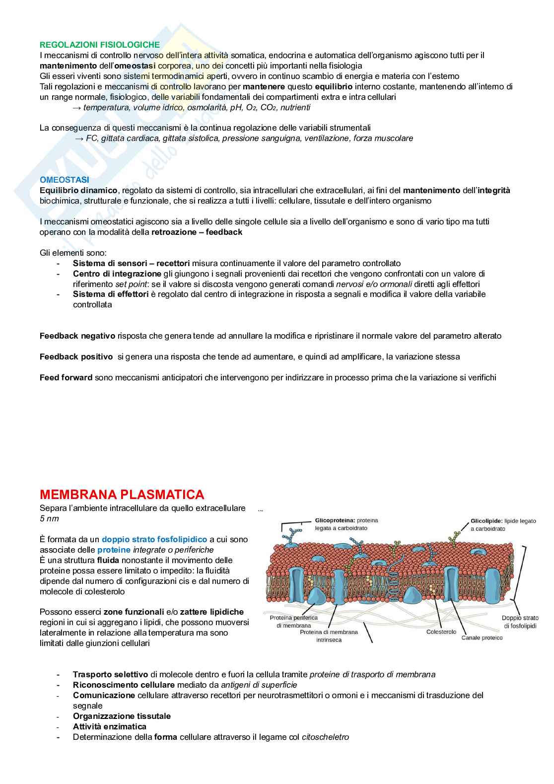 Neurofisiologia Pag. 1