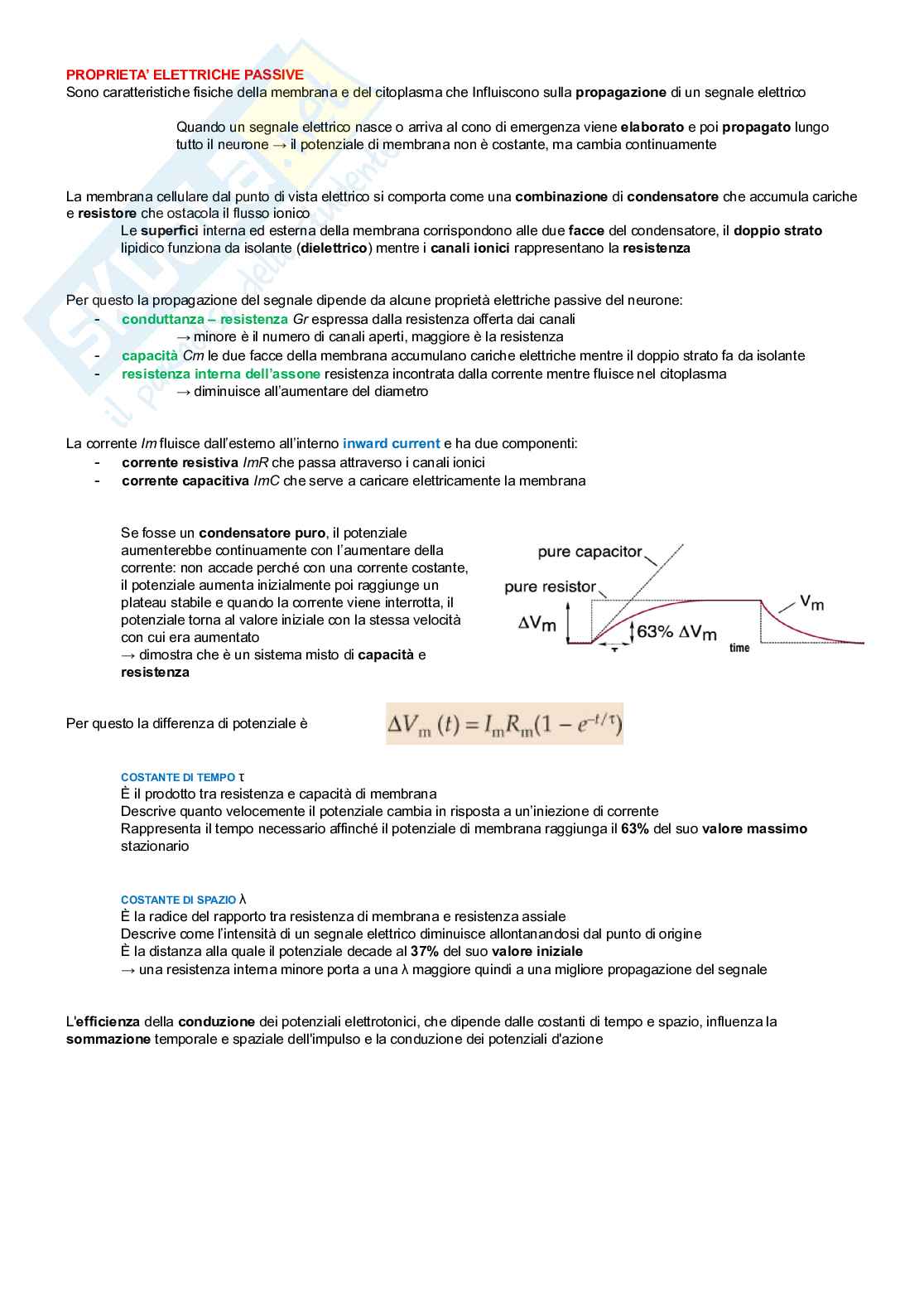 Neurofisiologia Pag. 11