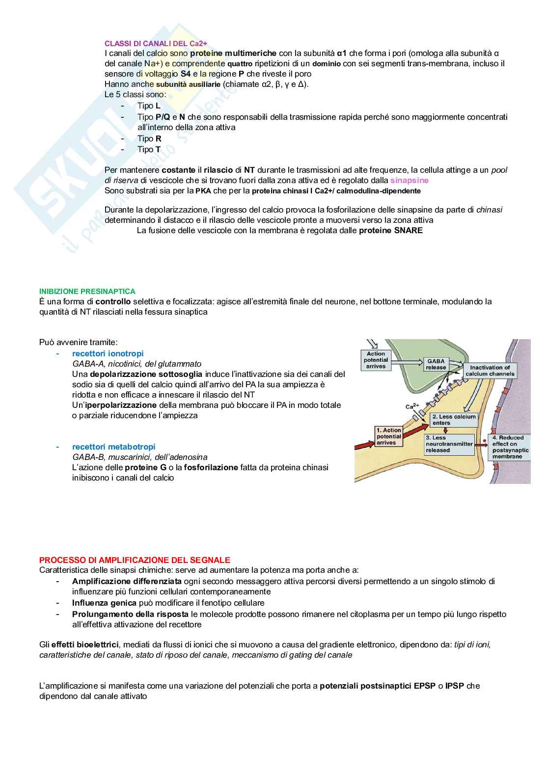 Neurofisiologia Pag. 16