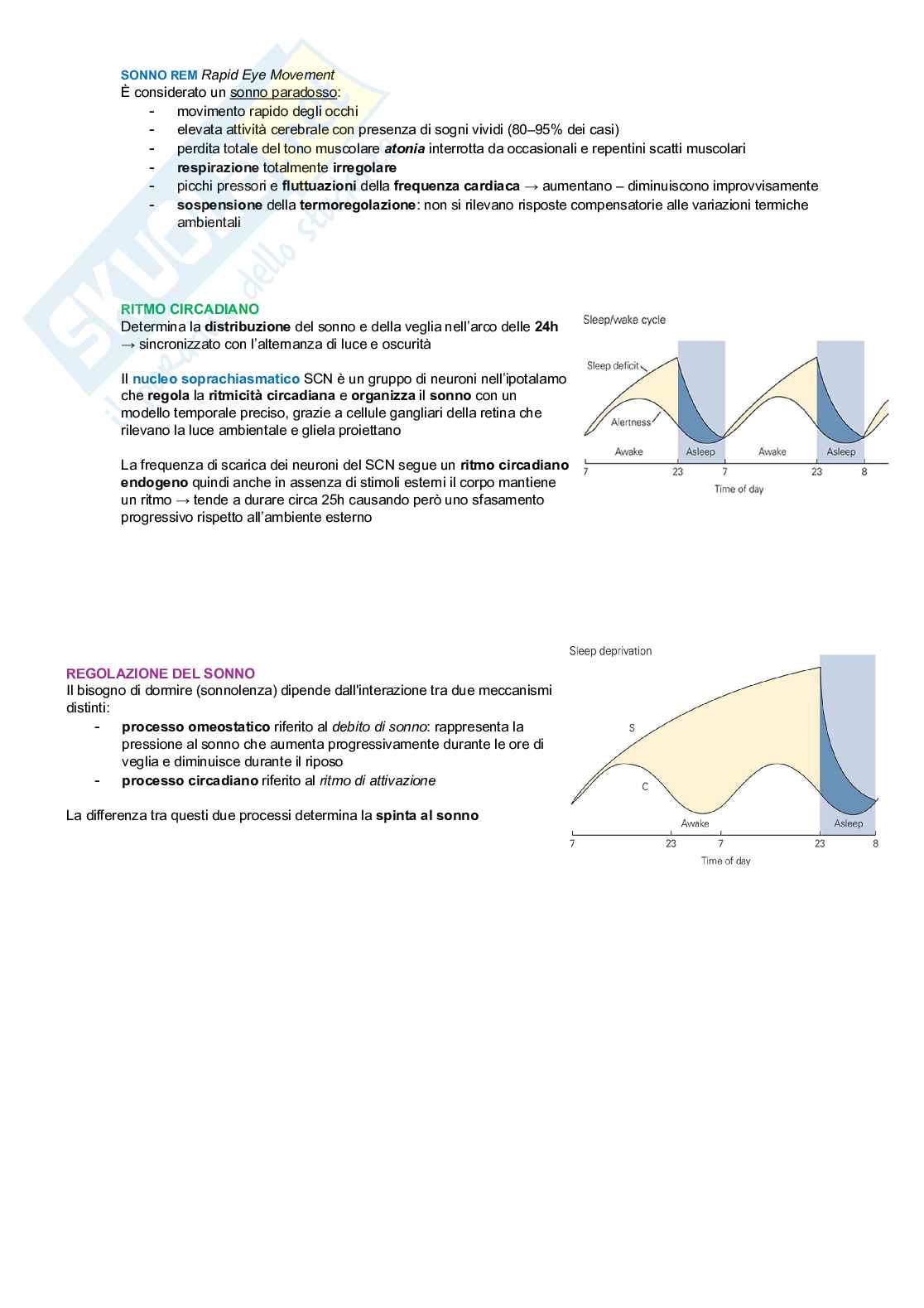 Neurofisiologia Pag. 31