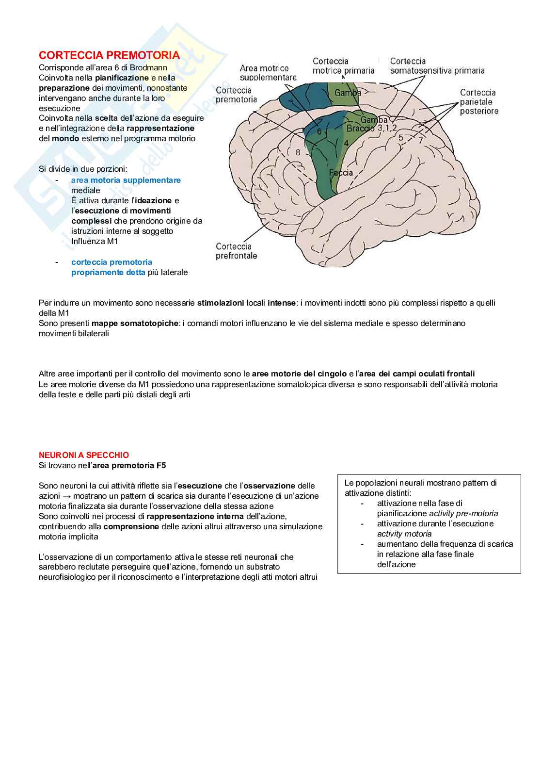 Neurofisiologia Pag. 46