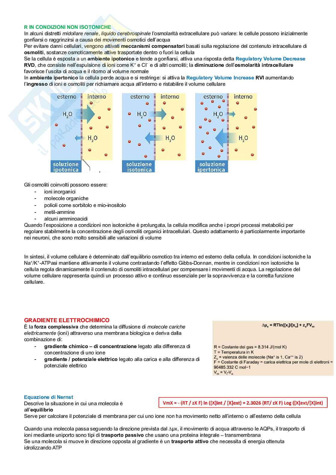 Neurofisiologia Pag. 6