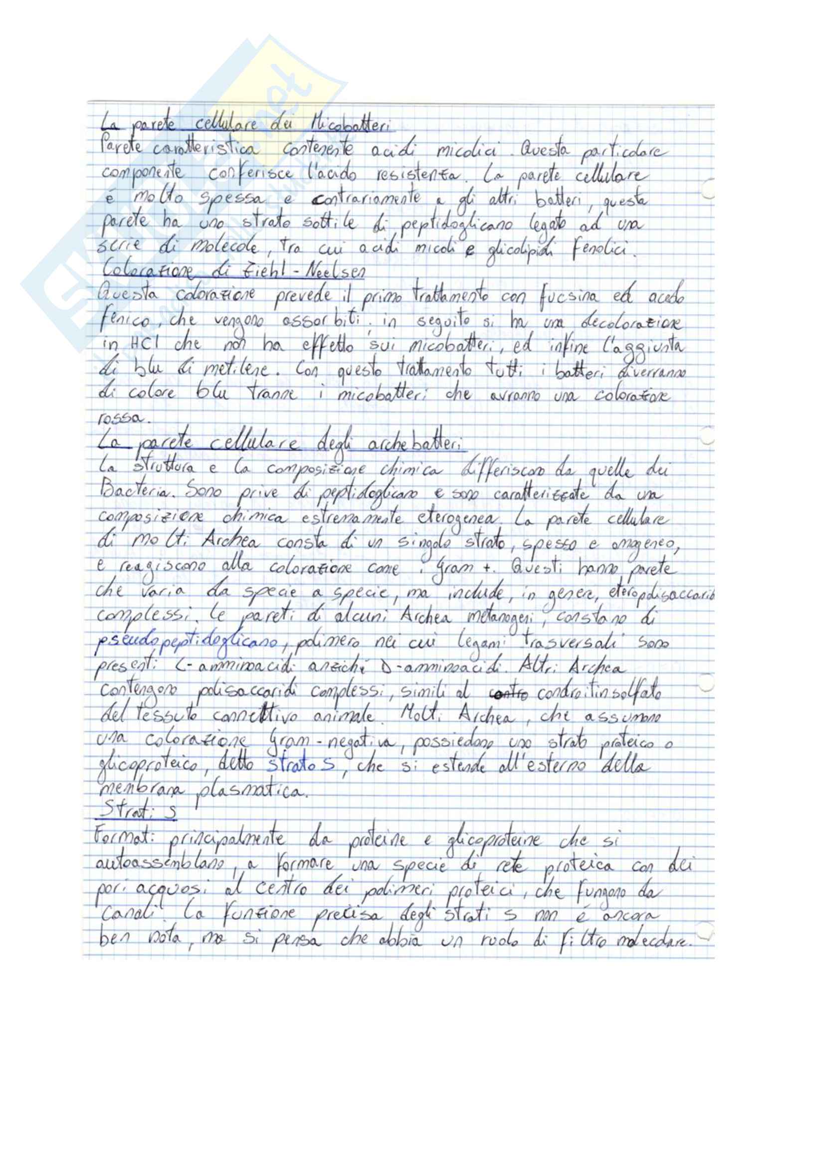 Microbiologia Pag. 16