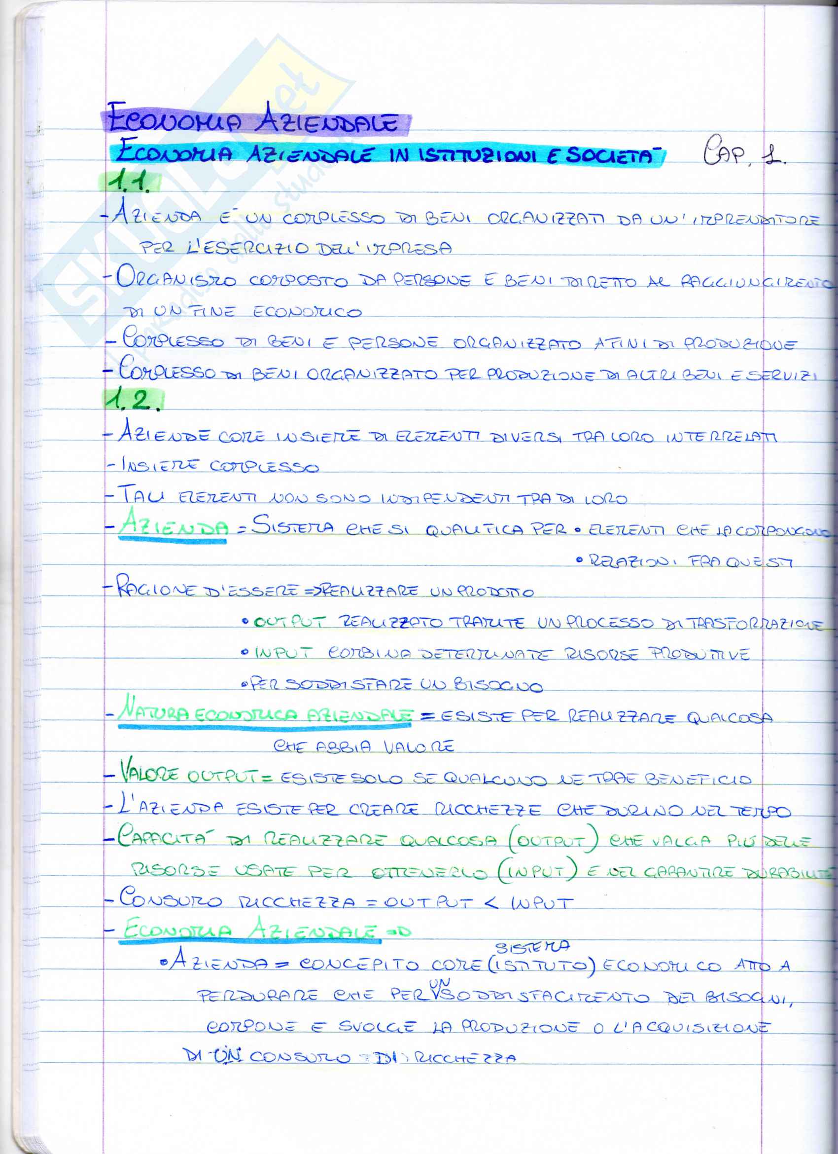 Appunti di Economia aziendale Pag. 1