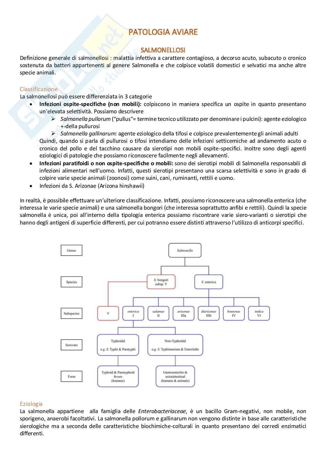 Patologia aviare  Pag. 1