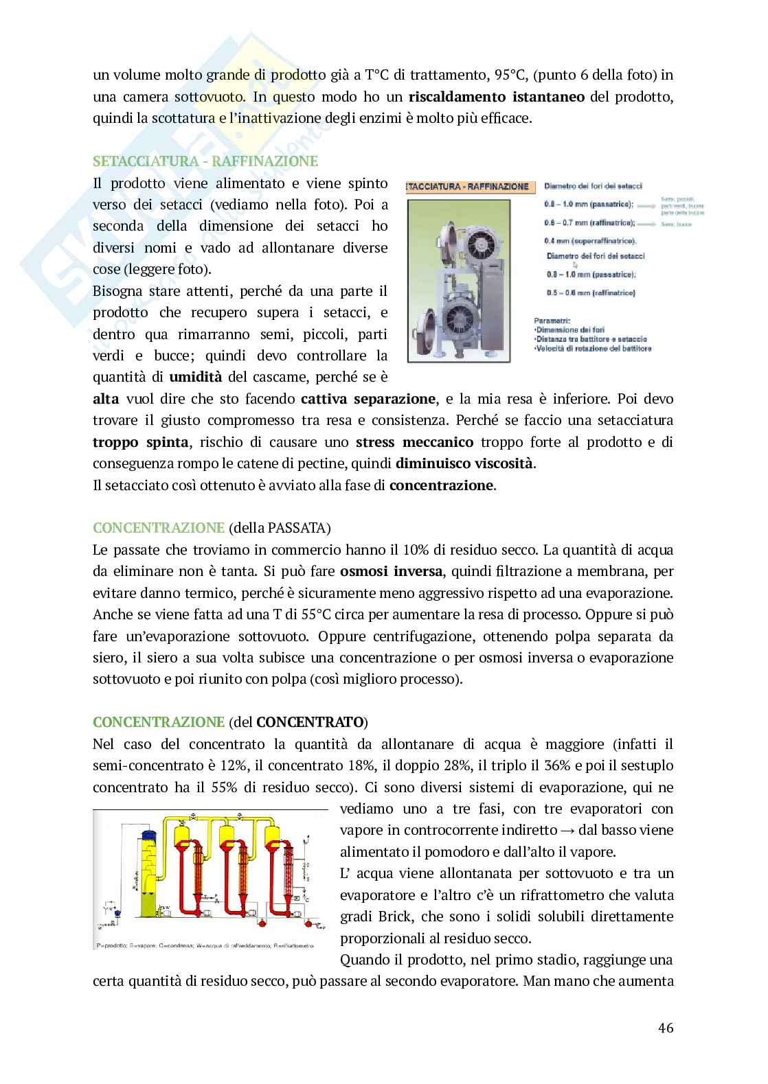 Conserve di origine vegetale - Appunti Pag. 46