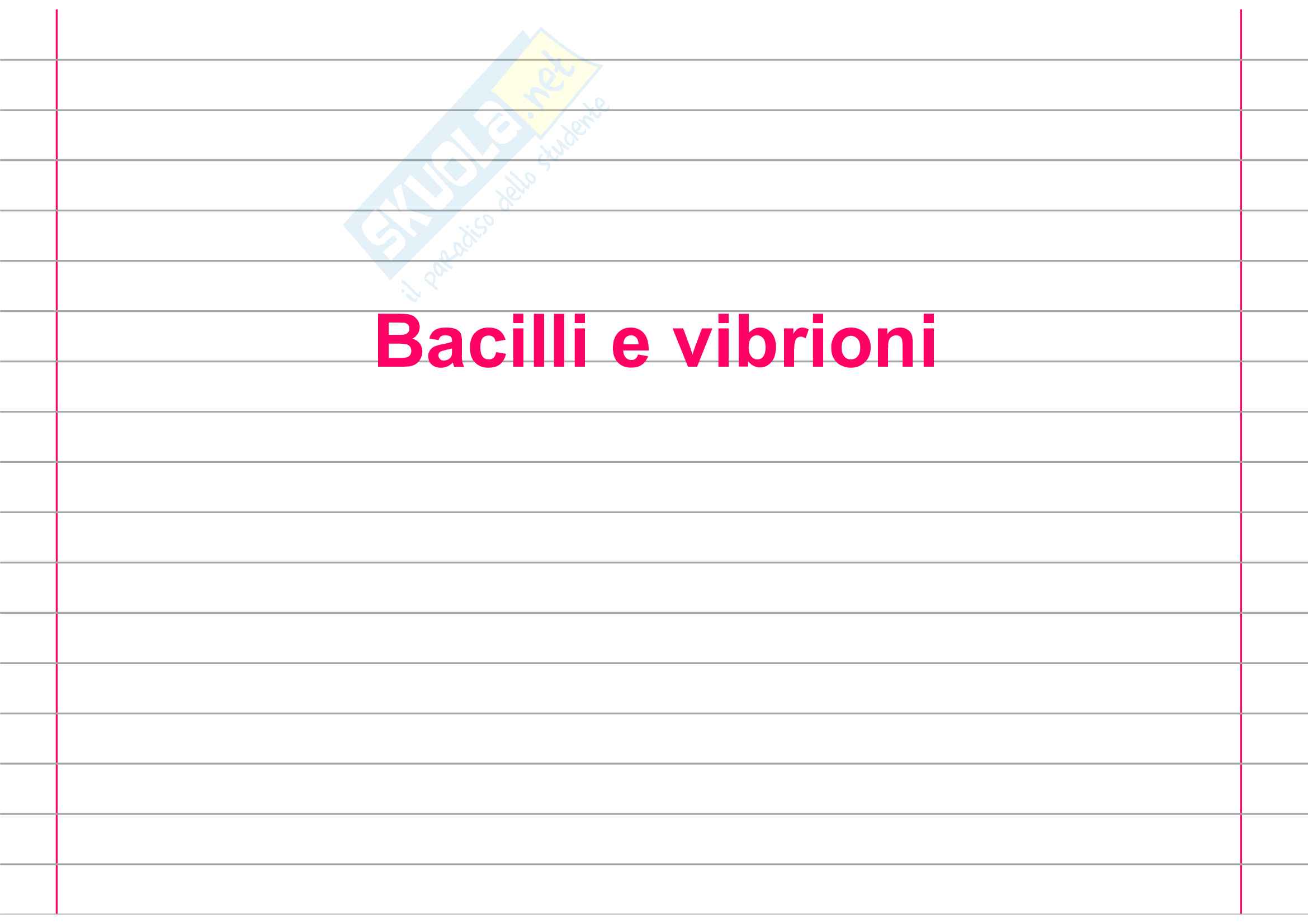 Bacilli e vibrioni Pag. 1