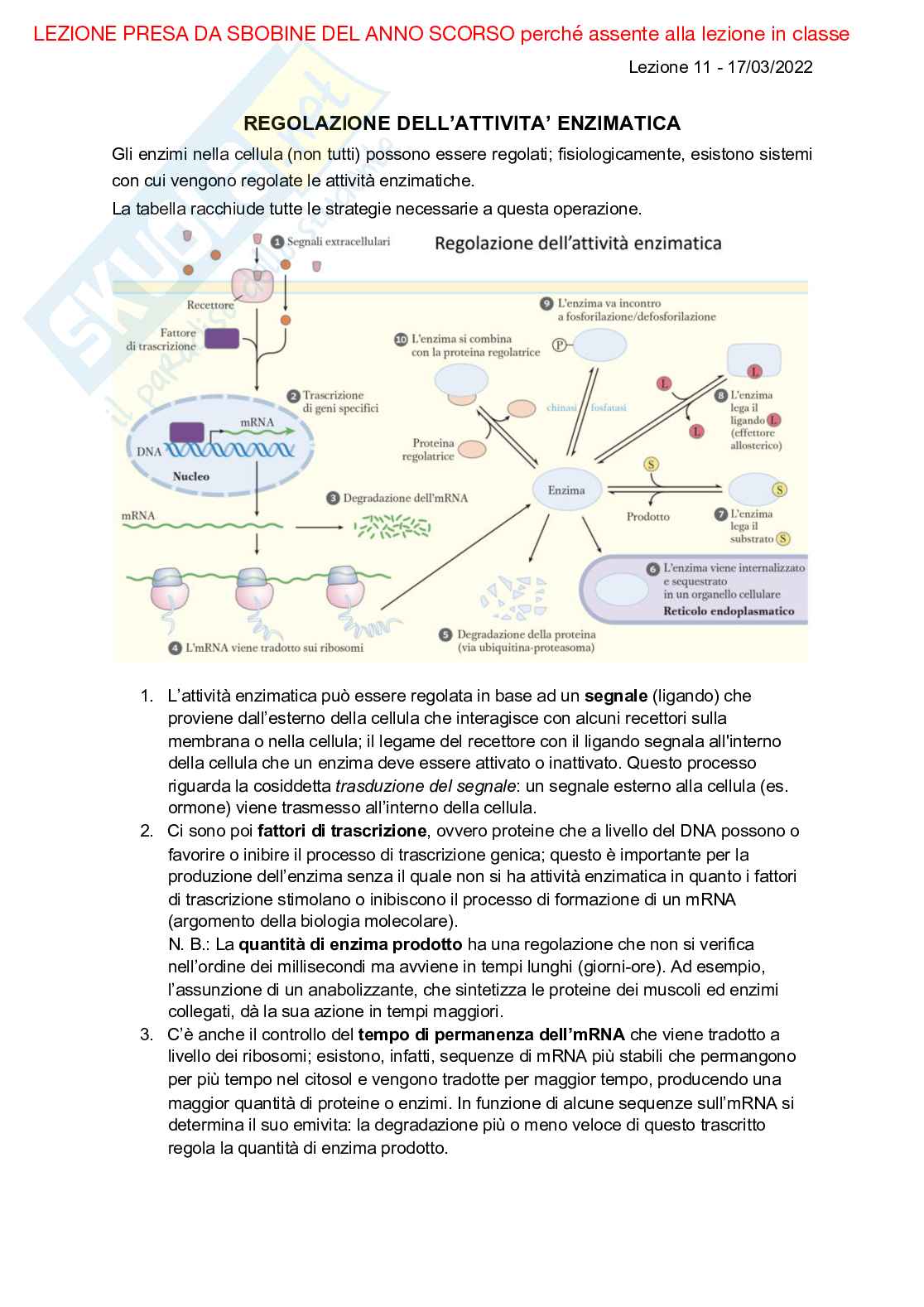 Biochimica generale - 1° parziale Pag. 66
