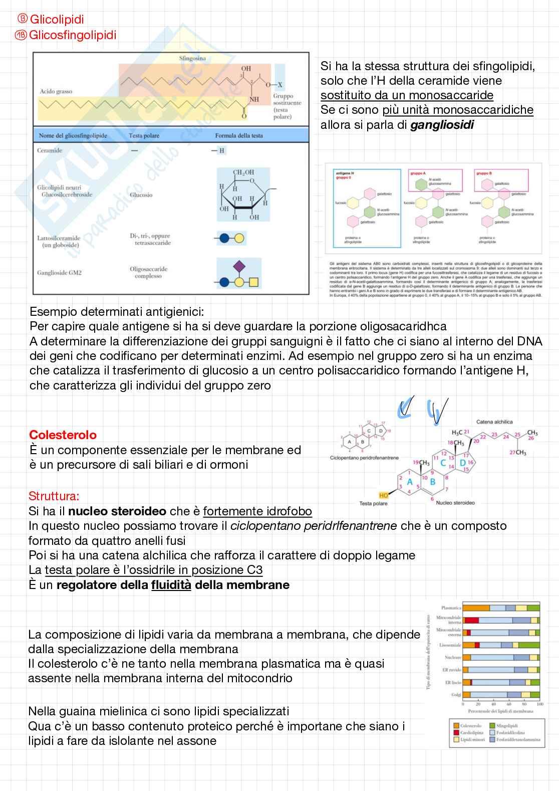 Biochimica generale - 1° parziale Pag. 81