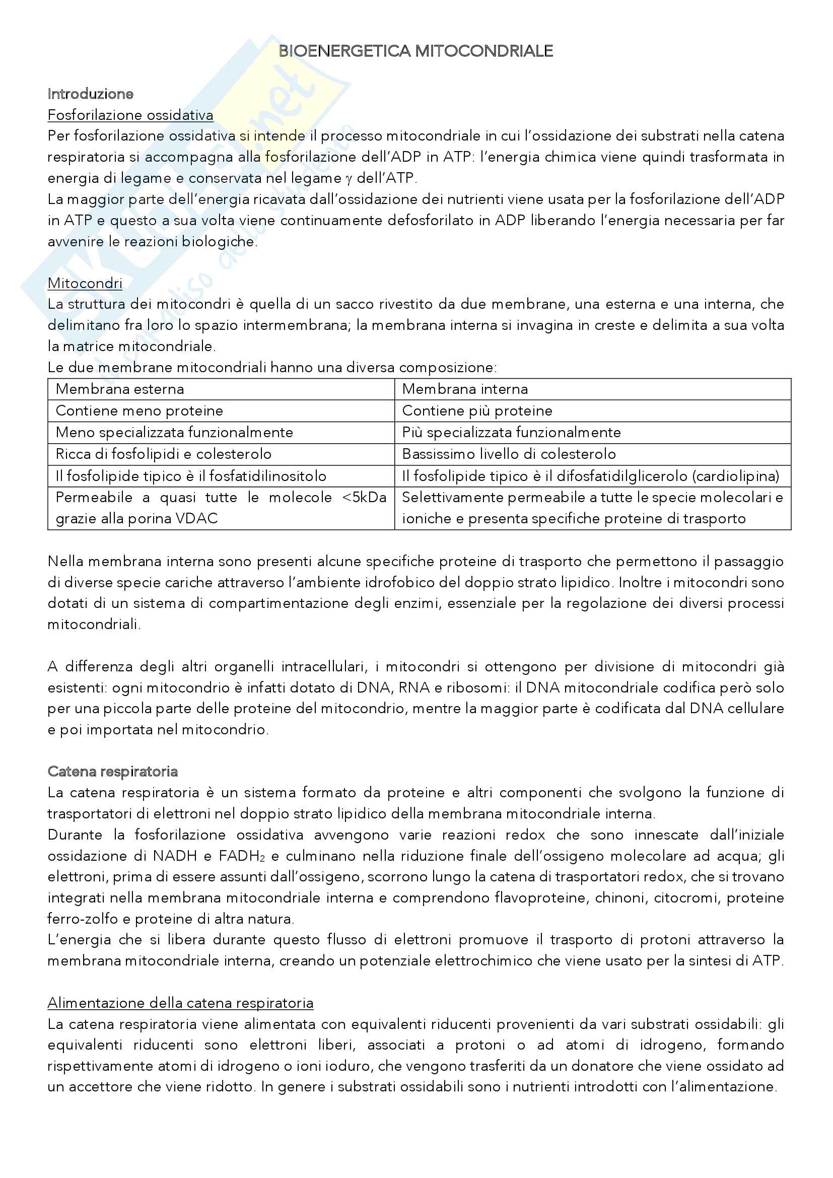 Bioenergetica mitocondriale Pag. 1