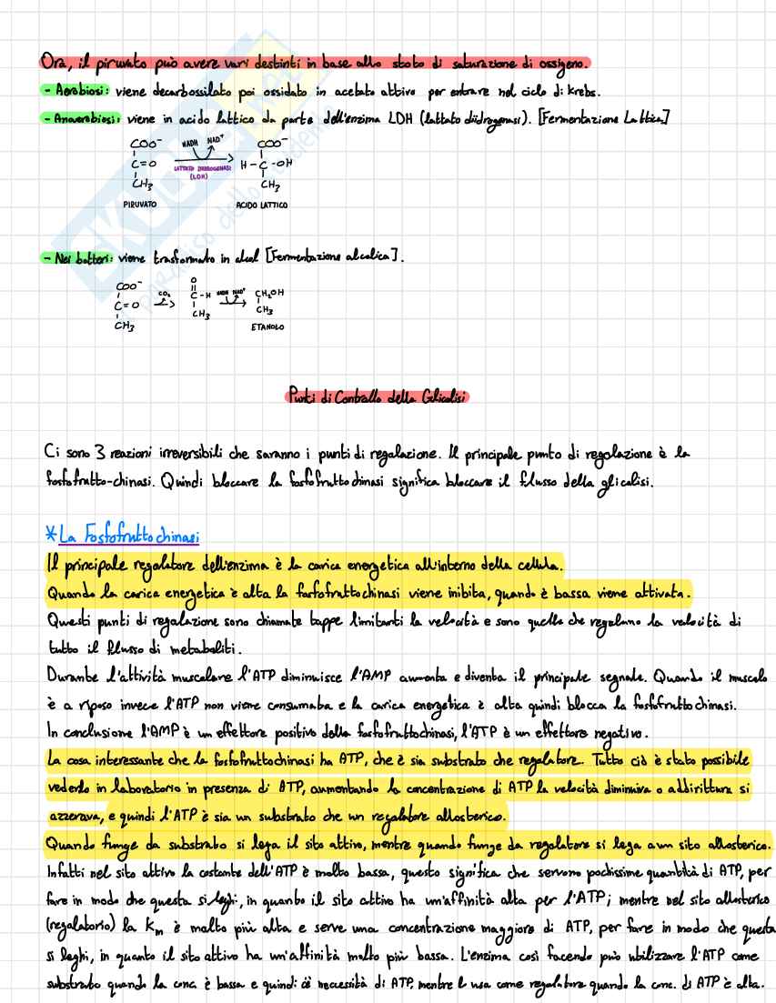 Riassunto esame Biochimica, Prof. Fontana Mario, libro consigliato I principi di biochimica, Lehninger  Pag. 21