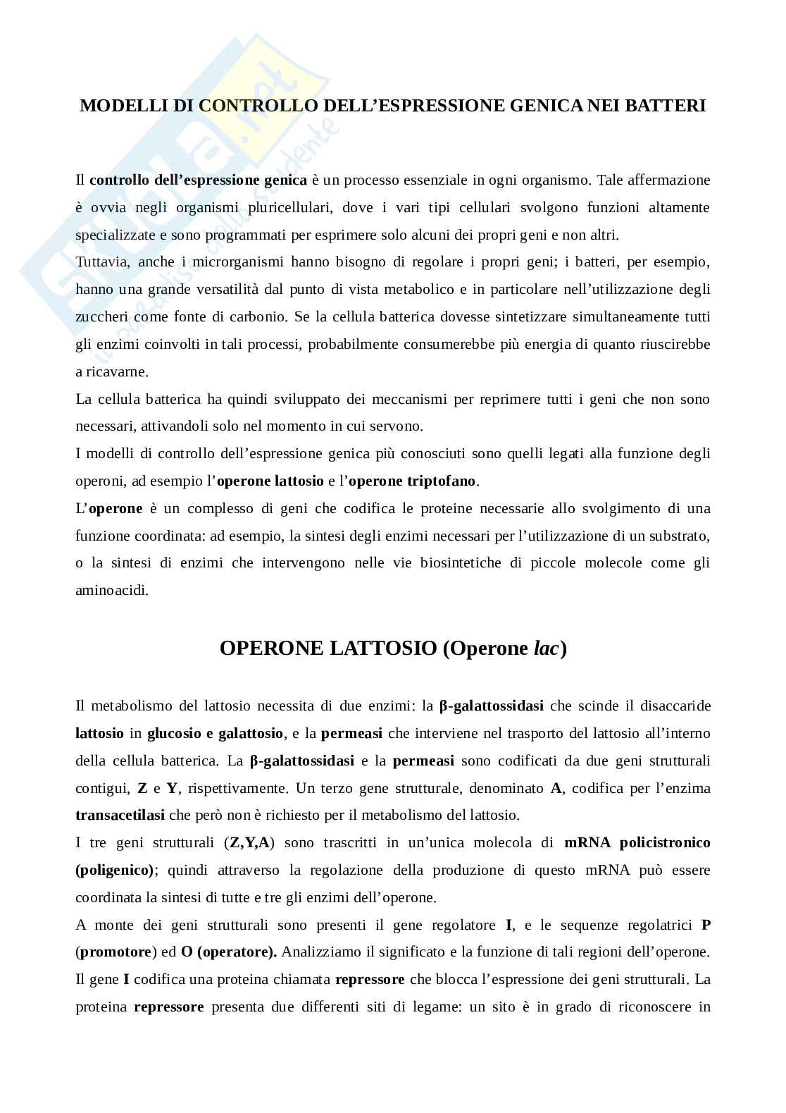  Modelli di controllo dell'espressione genica nei batteri   Pag. 1