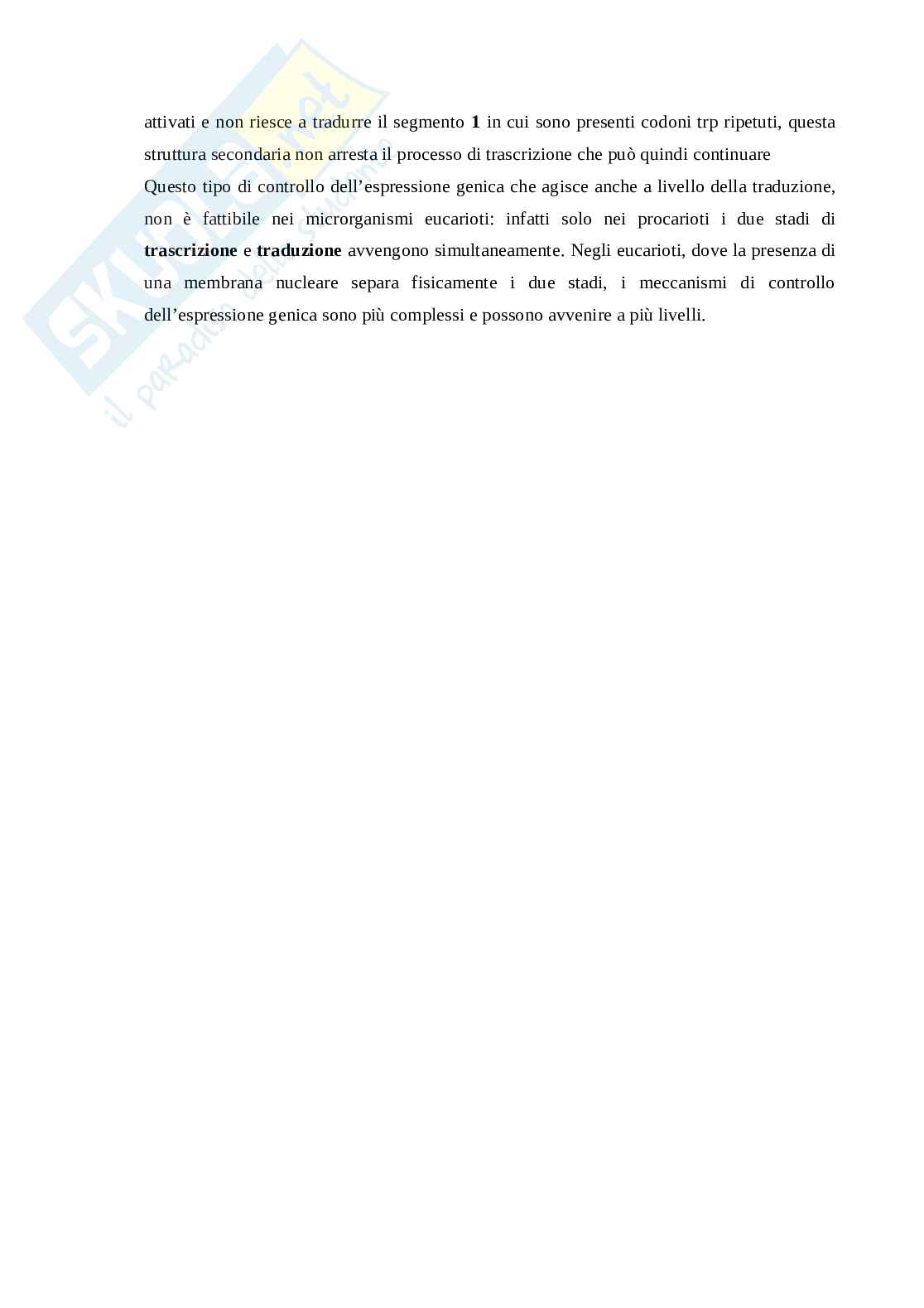  Modelli di controllo dell'espressione genica nei batteri   Pag. 6