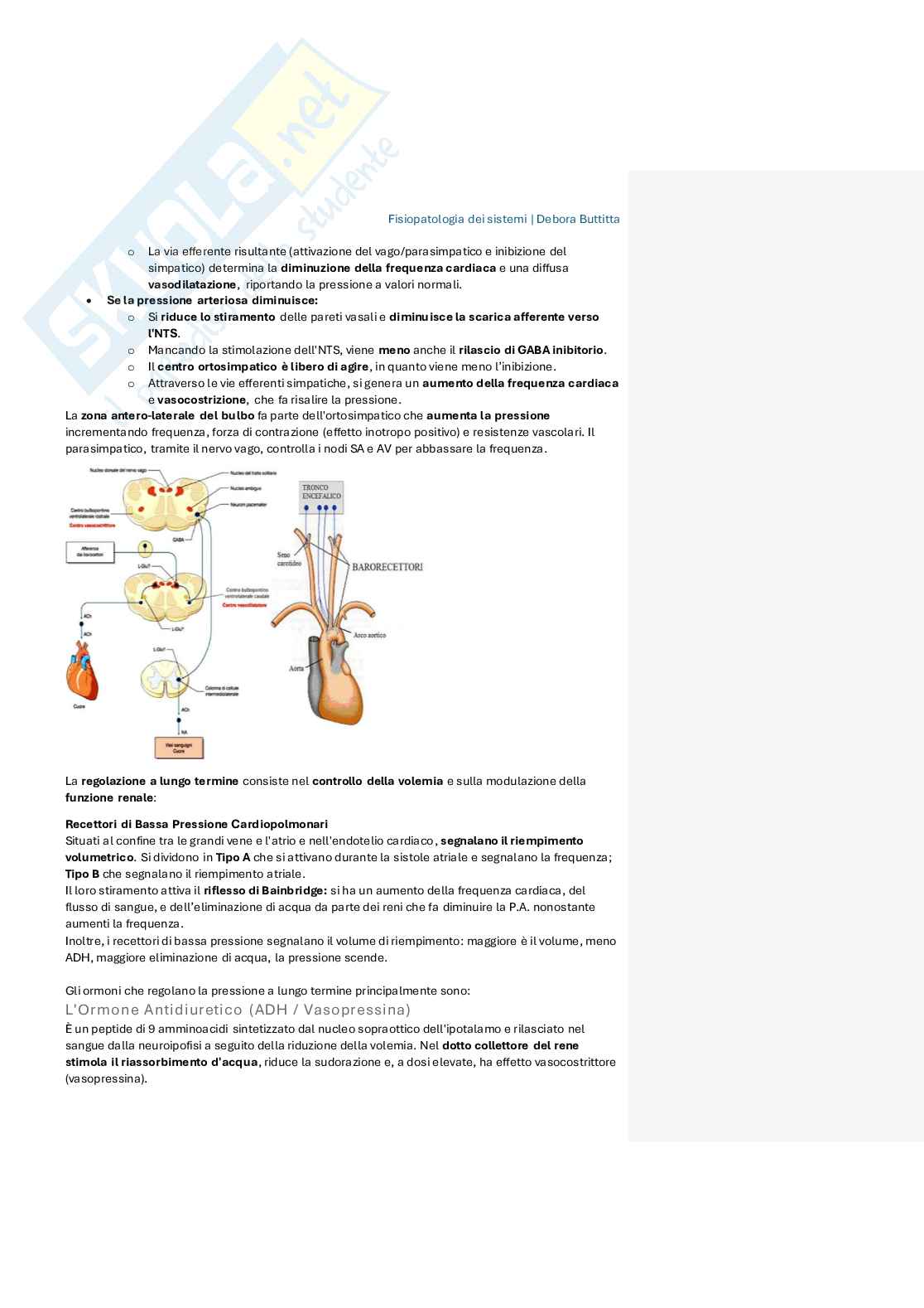 Appunti di Fisiopatologia dei sistemi Pag. 41