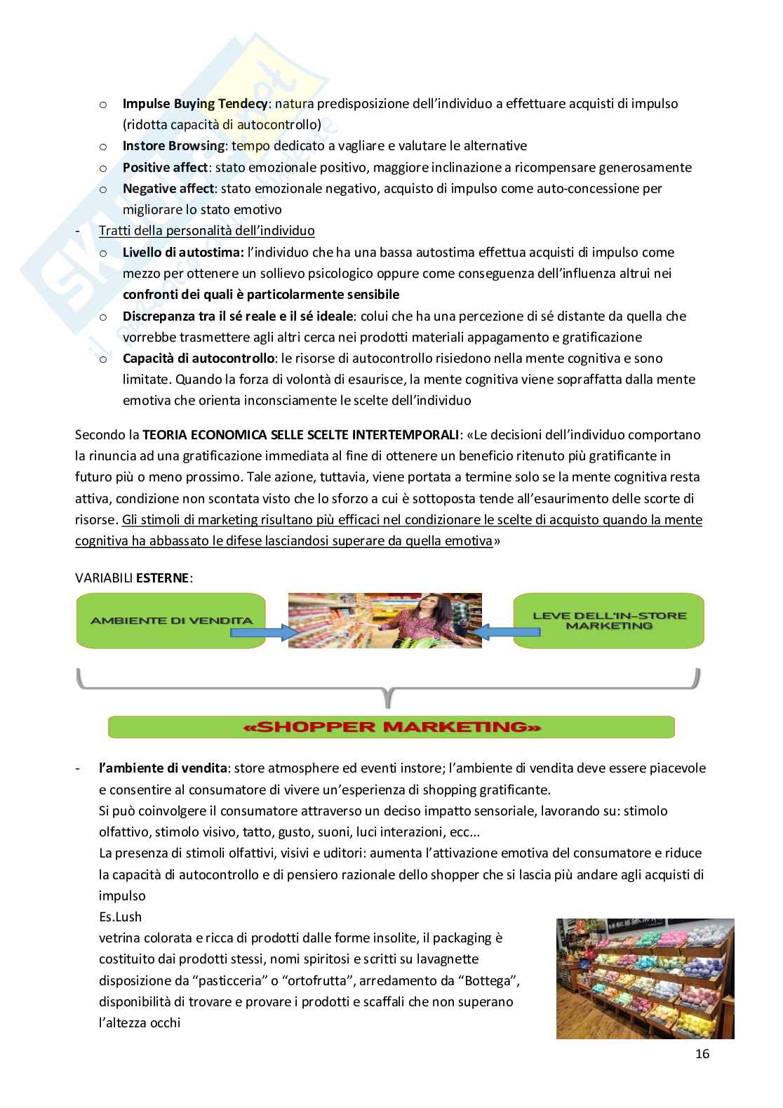 Consumer Behaviour  Pag. 16
