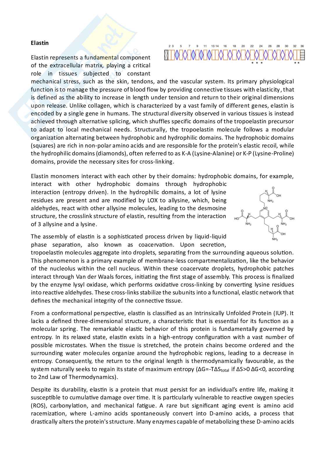 Riassunto esame Biochemistry, Prof. Palese Luigi Leonardo, libro consigliato Biochimica, Voet Pag. 11