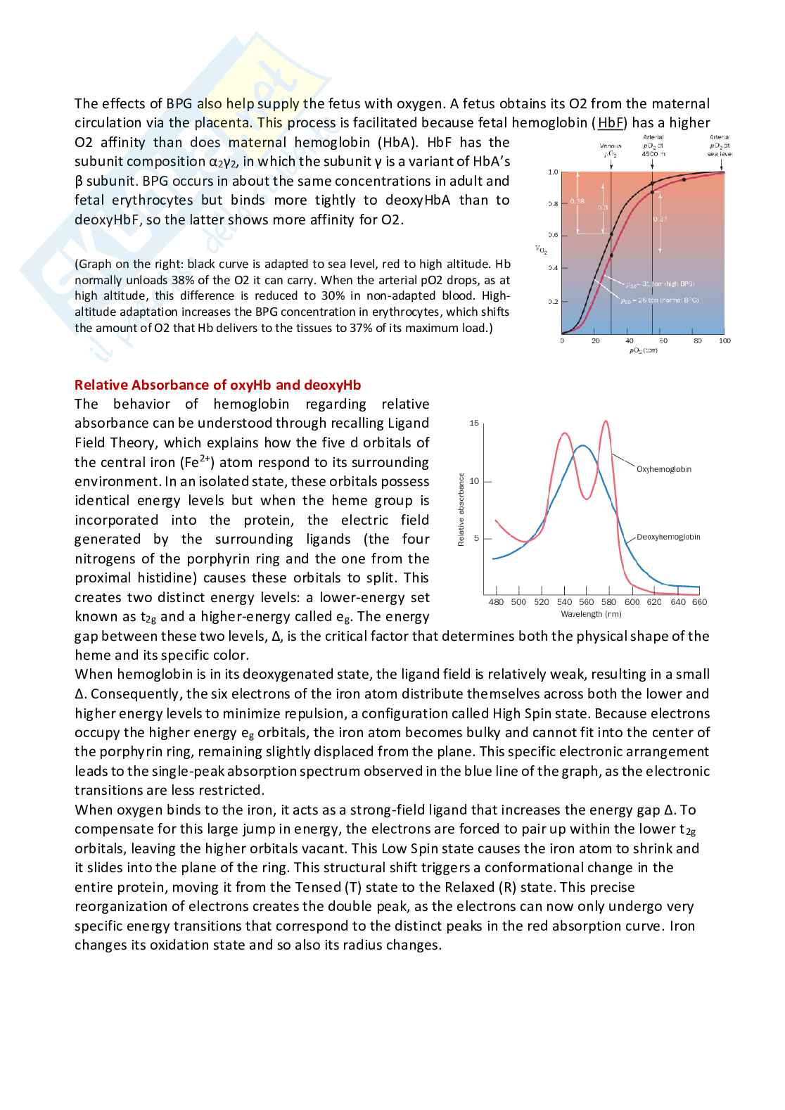 Riassunto esame Biochemistry, Prof. Palese Luigi Leonardo, libro consigliato Biochimica, Voet Pag. 21