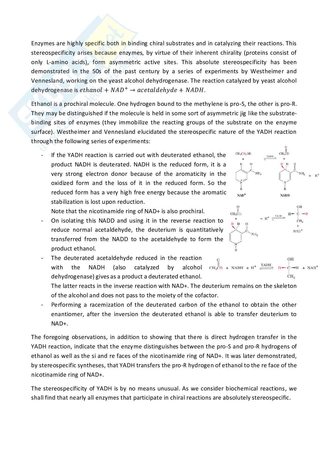 Riassunto esame Biochemistry, Prof. Palese Luigi Leonardo, libro consigliato Biochimica, Voet Pag. 31