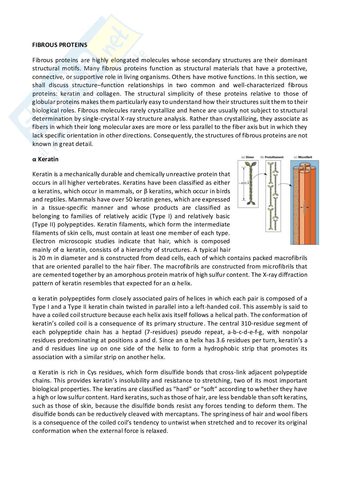 Riassunto esame Biochemistry, Prof. Palese Luigi Leonardo, libro consigliato Biochimica, Voet Pag. 6