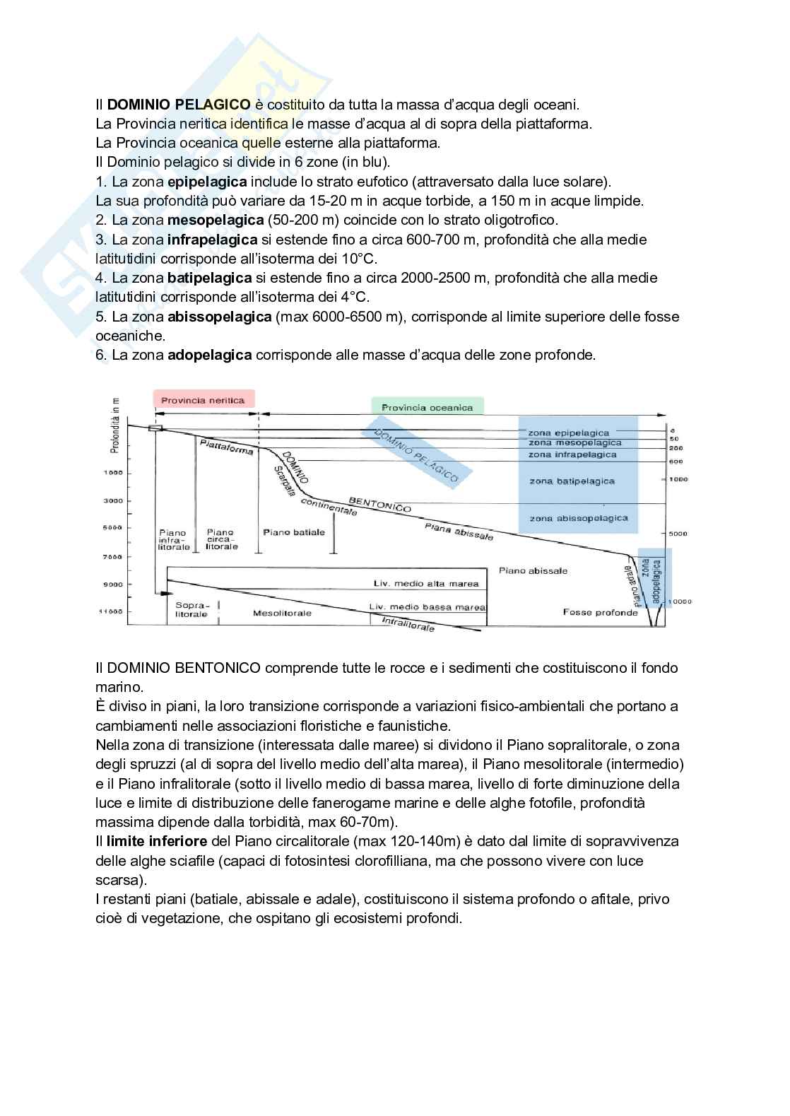 Paleoecologia Pag. 6