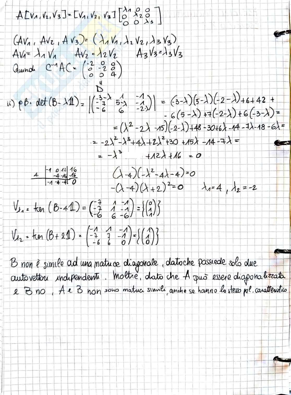 Geometria e algebra lineare: esercizi svolti su autovalori e diagonalizzazione Pag. 2