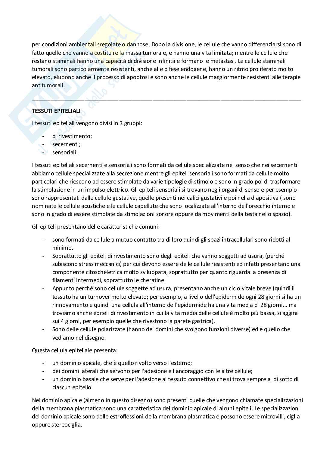 Biologia animale, istologia e anatomia umana Pag. 41