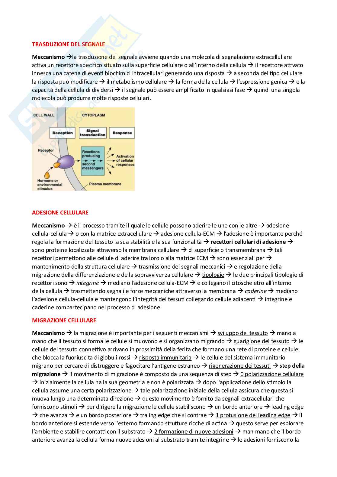 Appunti esame Ingegneria tissutale Pag. 11
