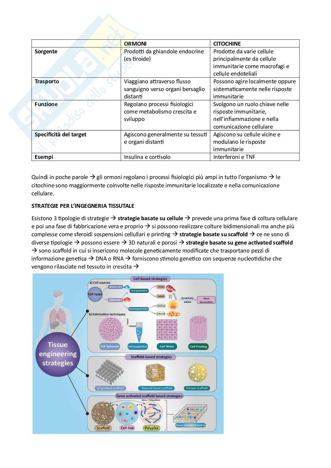 Appunti esame Ingegneria tissutale Pag. 2