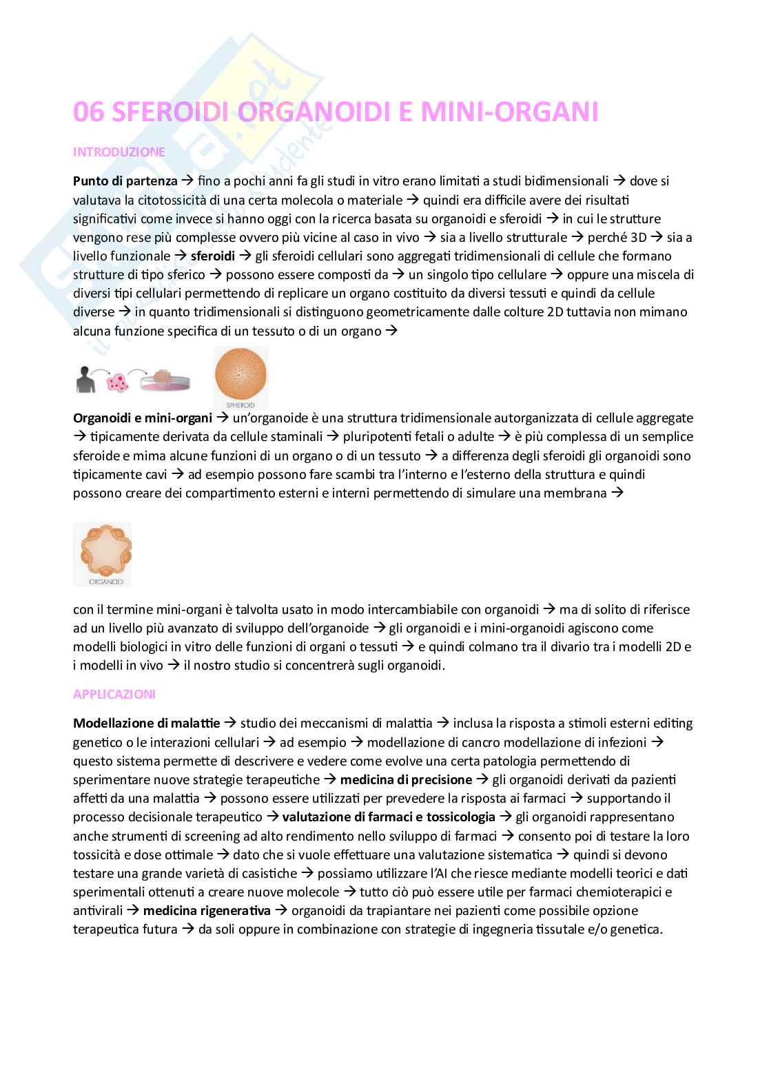 Appunti esame Ingegneria tissutale Pag. 26