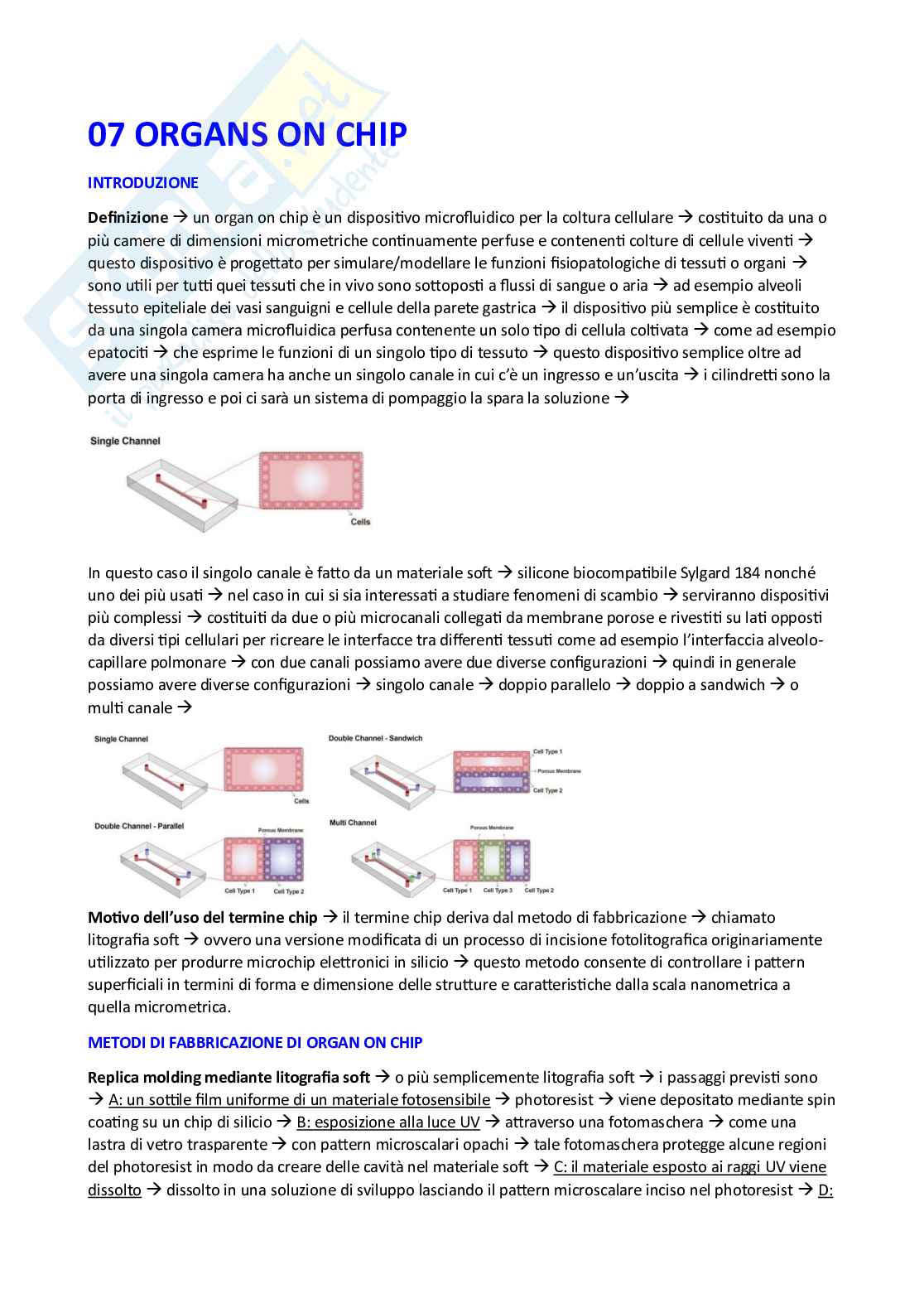 Appunti esame Ingegneria tissutale Pag. 36