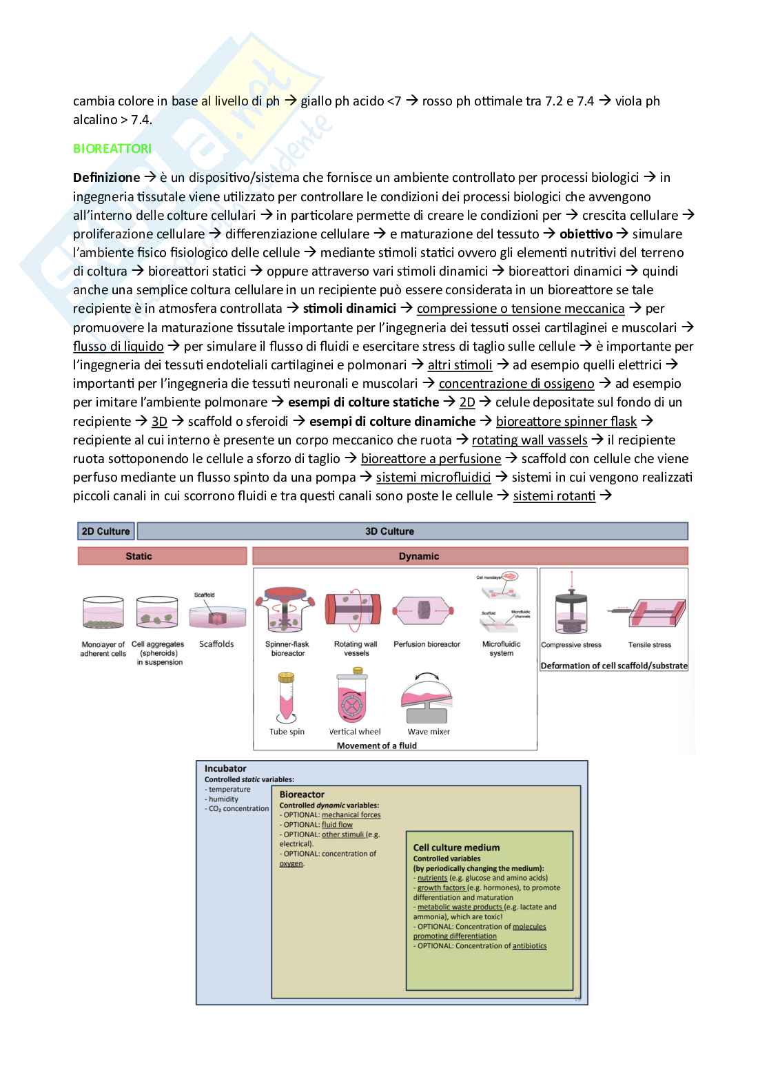 Appunti esame Ingegneria tissutale Pag. 41