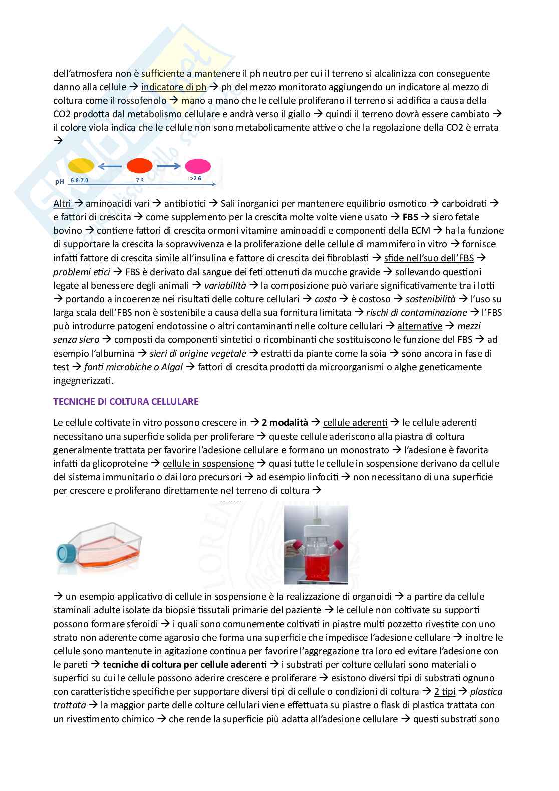 Appunti esame Ingegneria tissutale Pag. 46