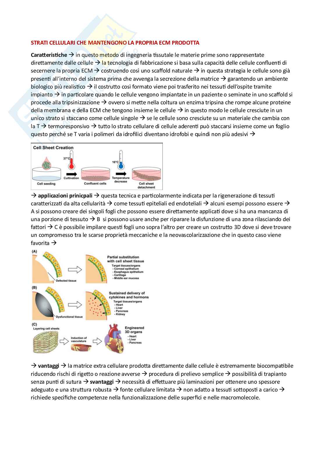 Appunti esame Ingegneria tissutale Pag. 66