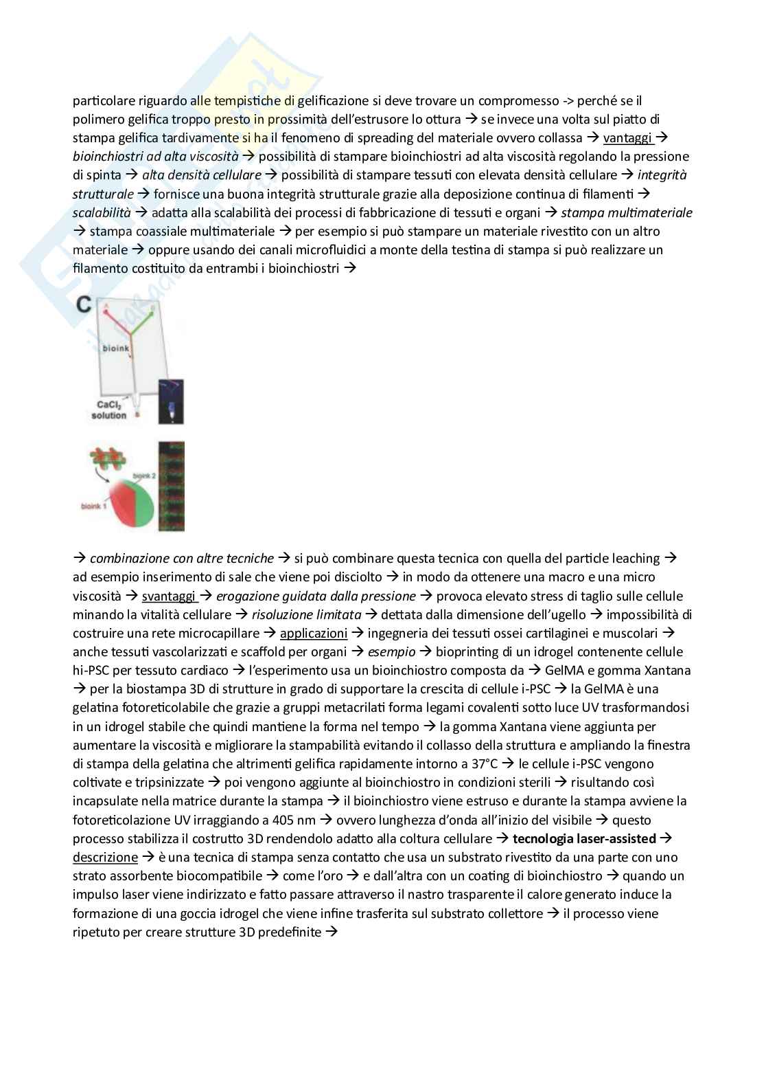 Appunti esame Ingegneria tissutale Pag. 71