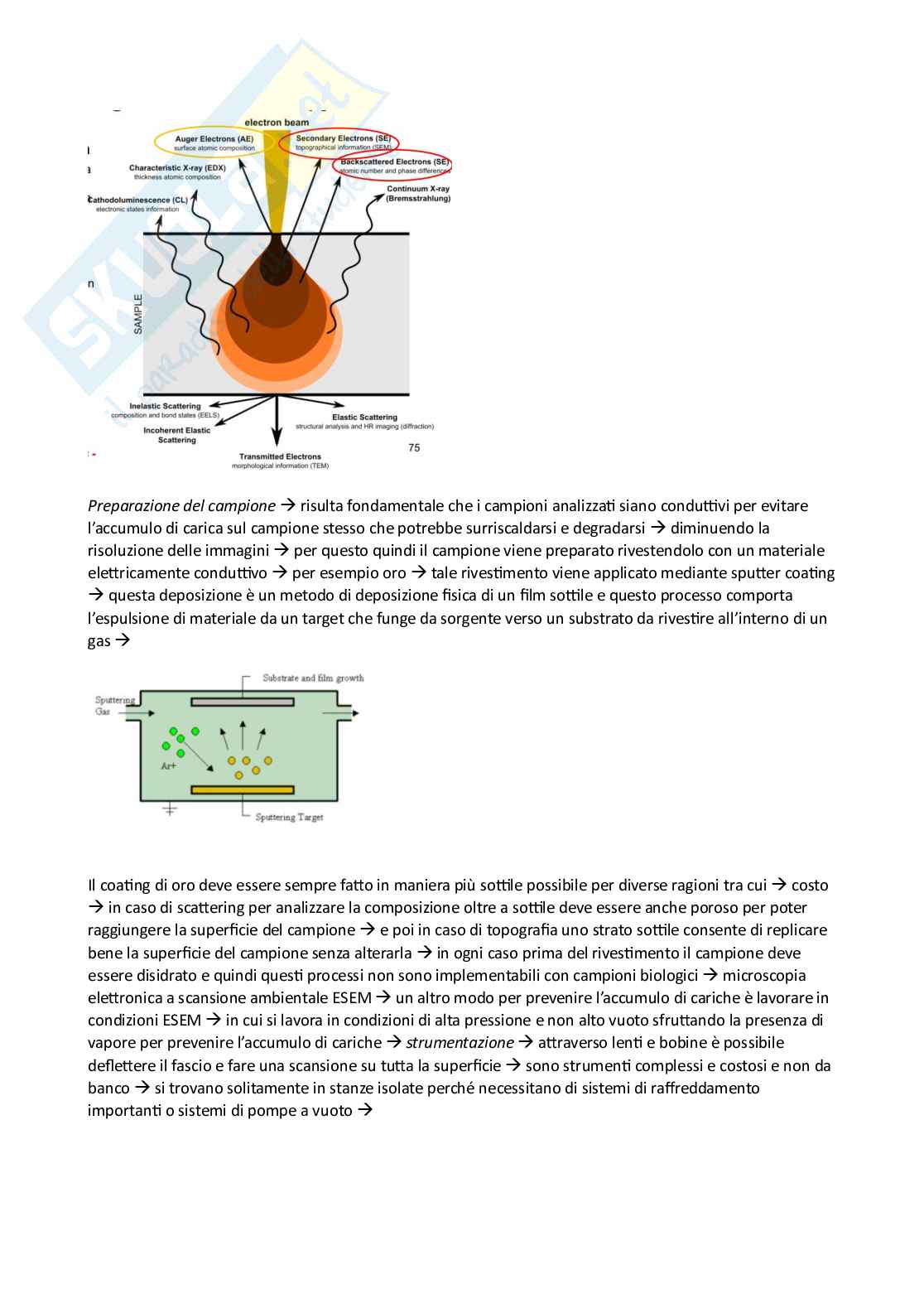Appunti esame Ingegneria tissutale Pag. 86
