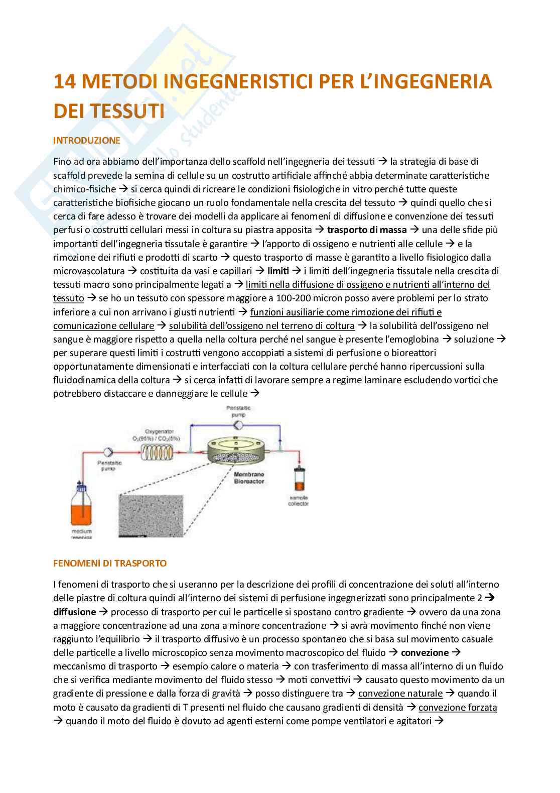 Appunti esame Ingegneria tissutale Pag. 91