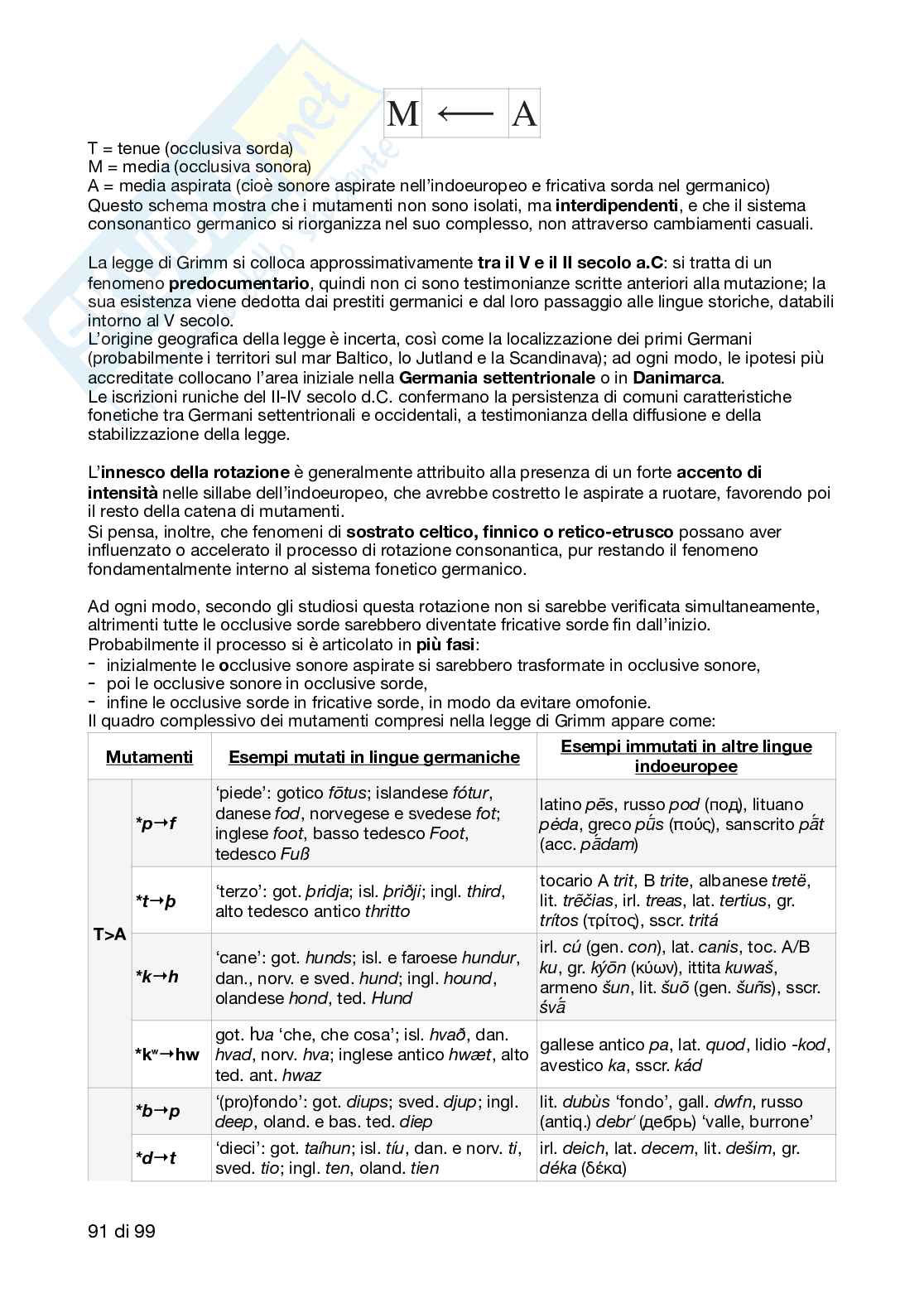 Glottologia - Appunti completi Modulo A Pag. 91