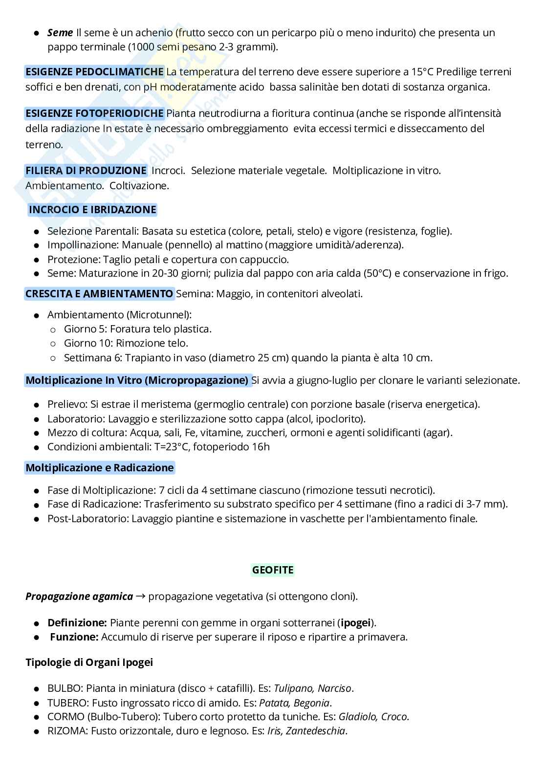 Schema Orticoltura e floricoltura  Pag. 26