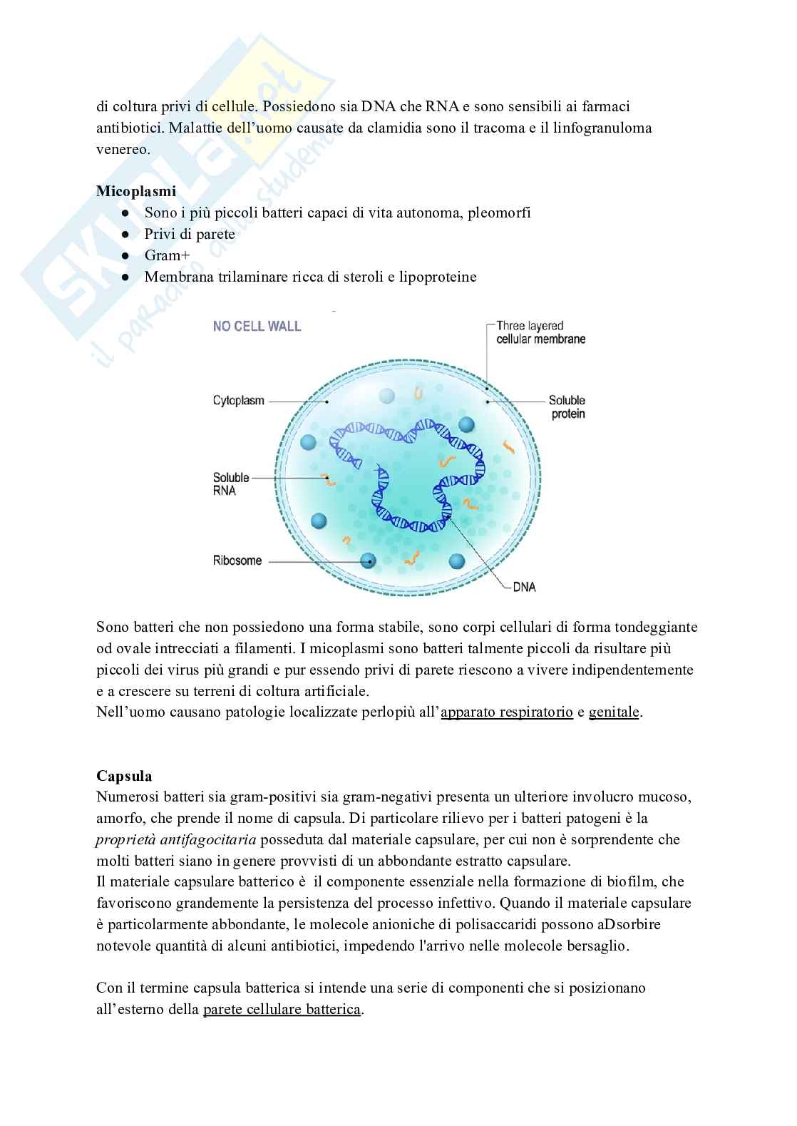Microbiologia 1 Pag. 11