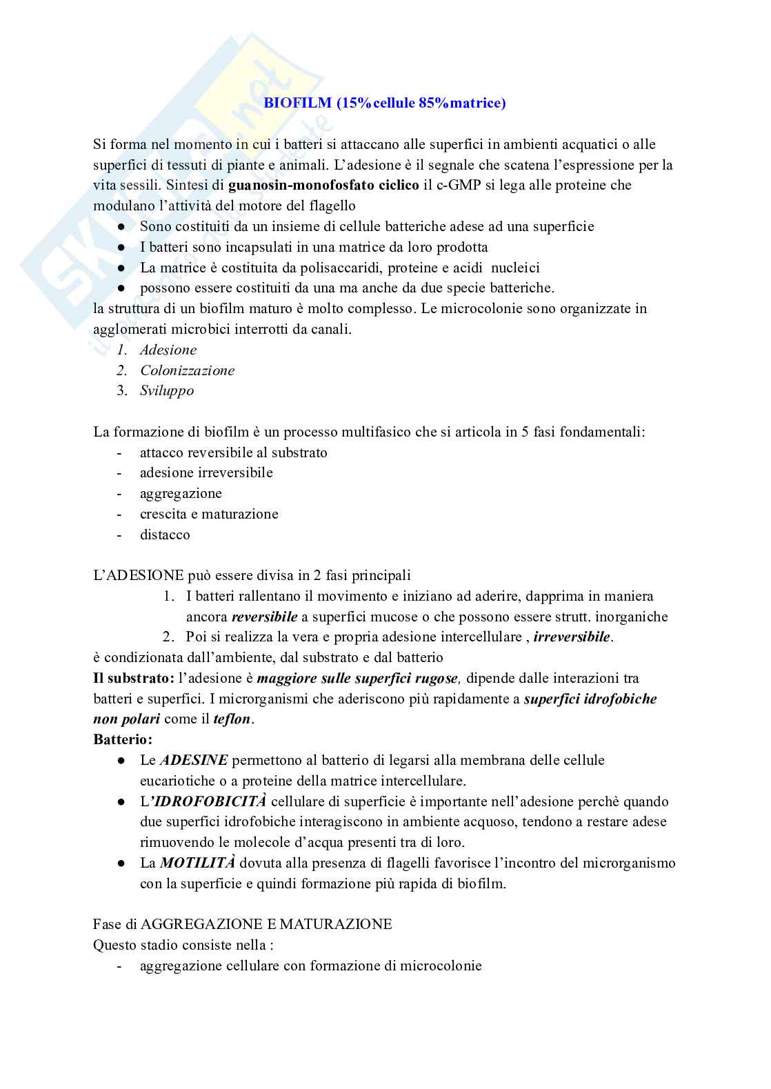 Microbiologia 1 Pag. 16