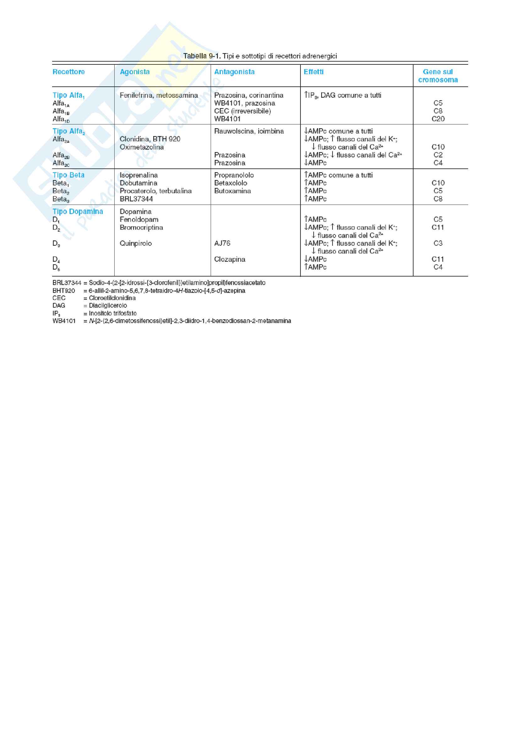 Agonisti e antagonisti adrenergici Pag. 2