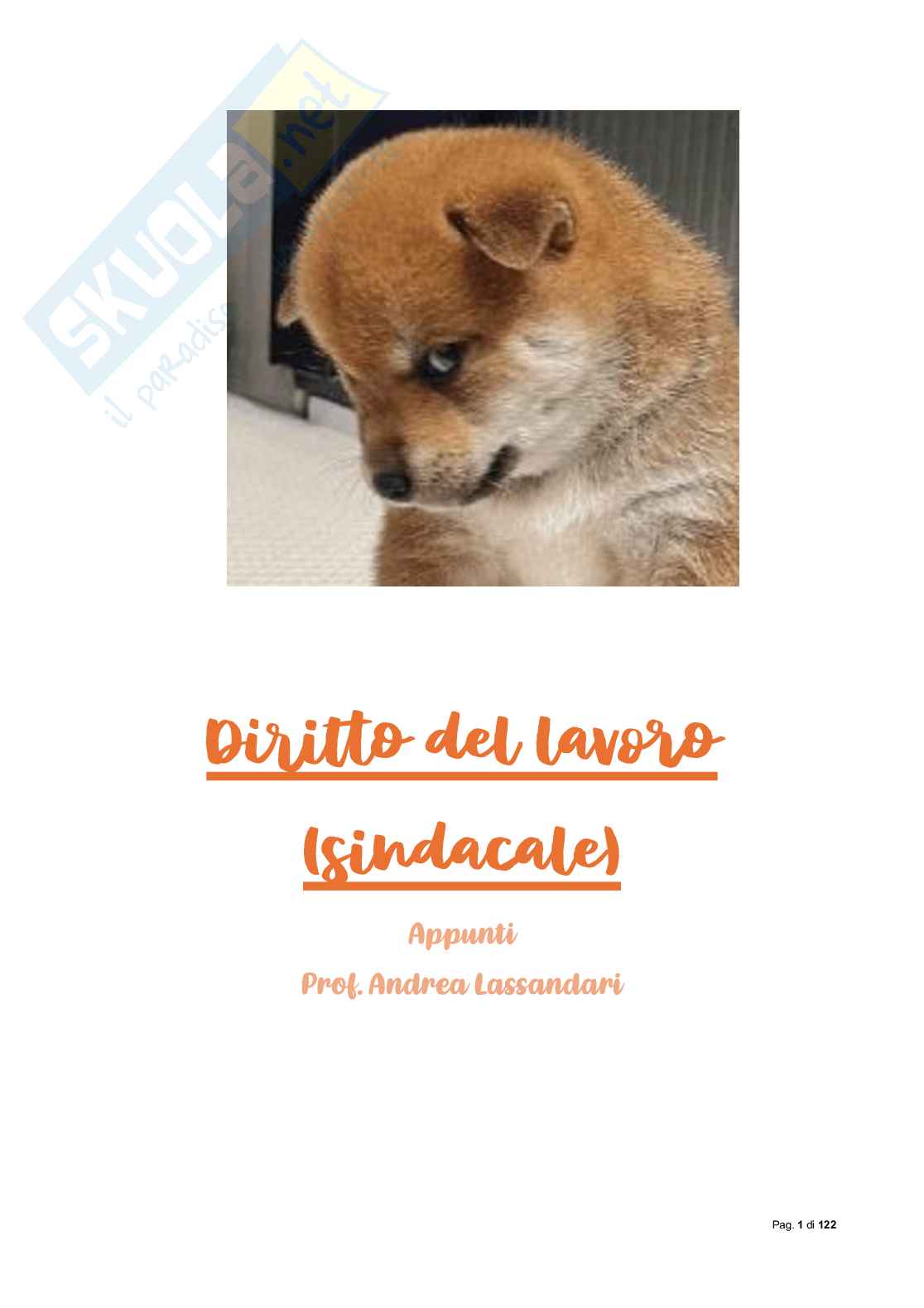 Riassunto esame Diritto sindacale, Prof. Lassandari Andrea, libro consigliato Il diritto sindacale, Carinci Pag. 1