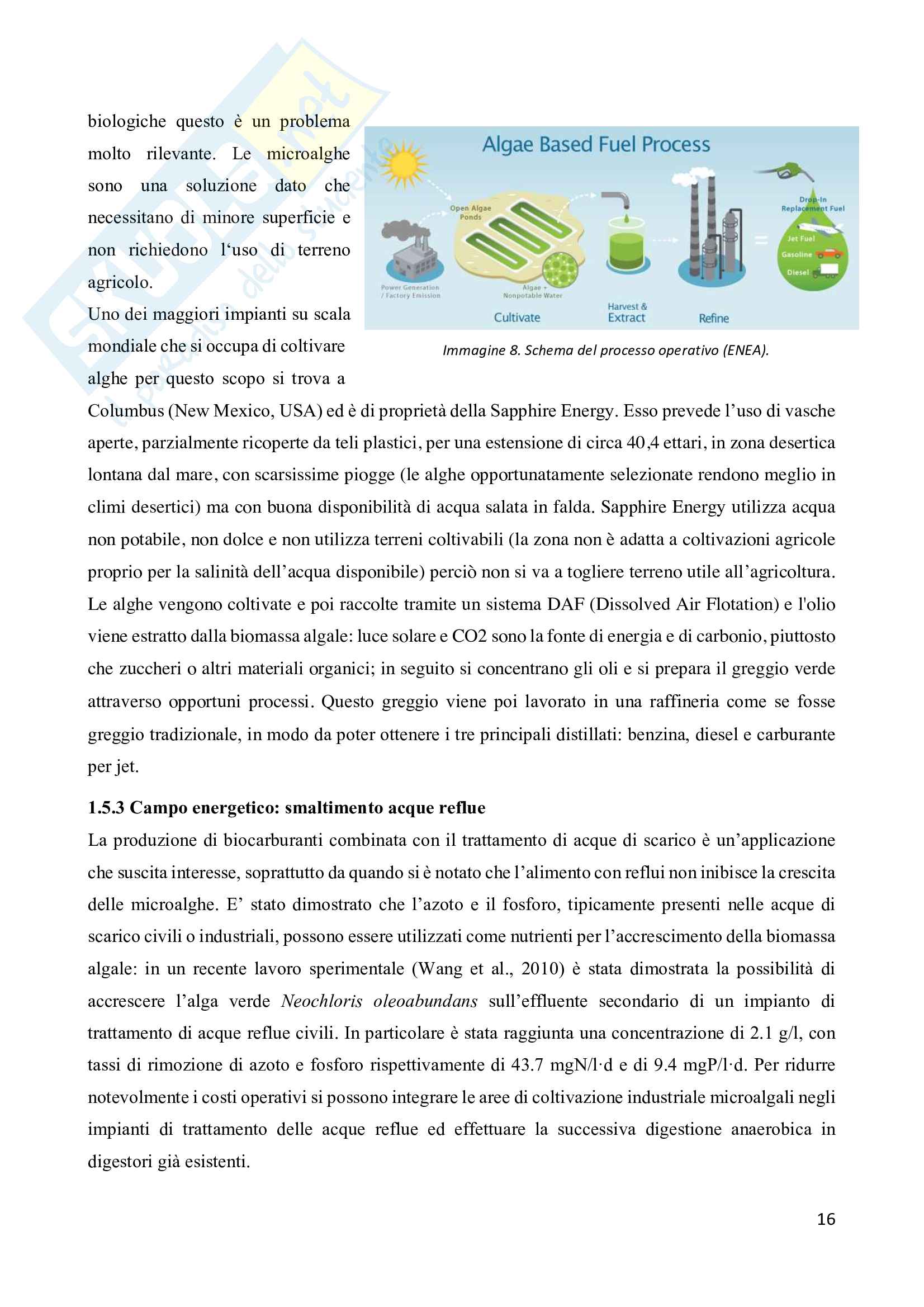 Indagine sui principali fattori di crescita delle microalghe: realizzazione dell'apparato sperimentale Pag. 16