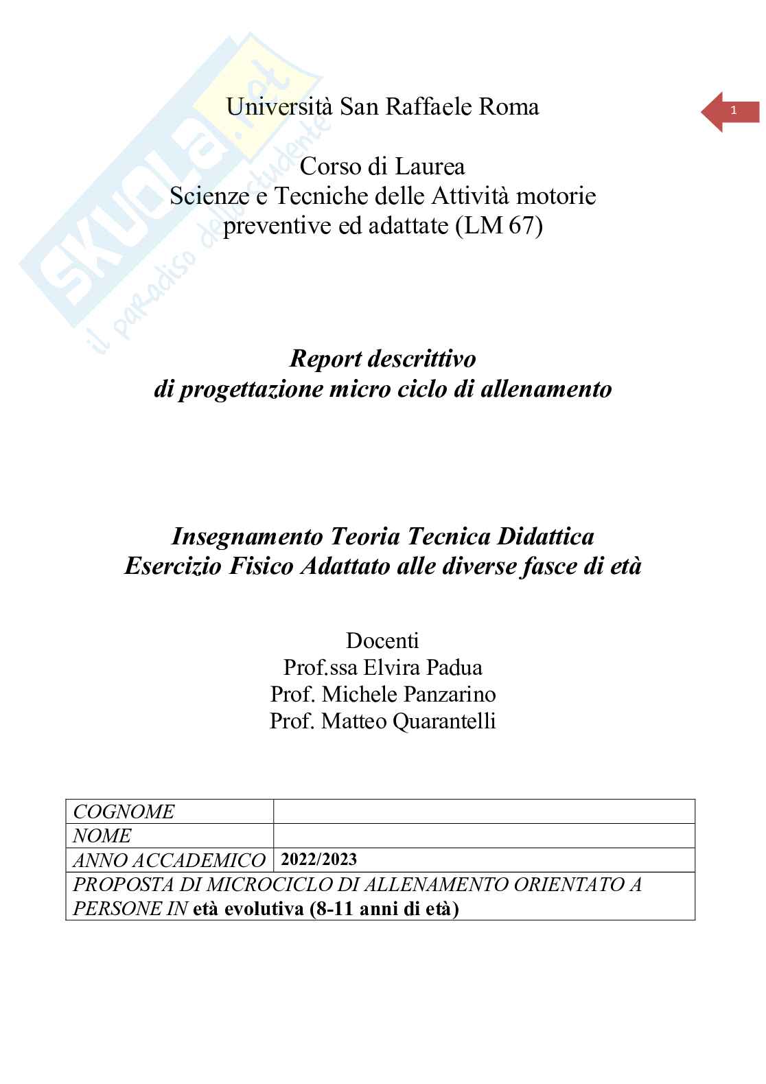 SAWANS Fasce Di Resistenza HIP CERCHIO Loop Rotazione Glute Attivazione Forte Elastico Bottino Esercizio Allenamento Fitness